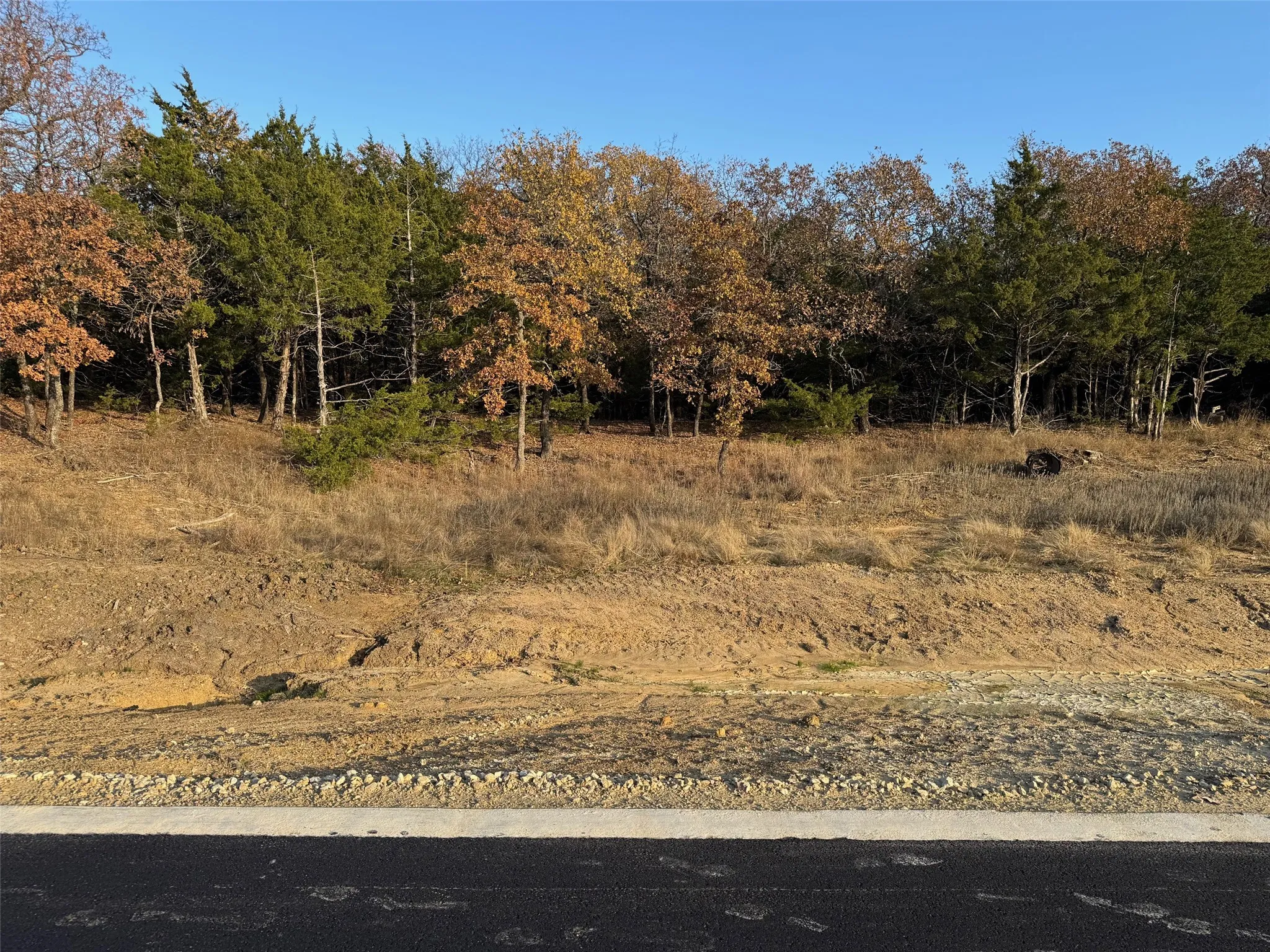 Unimproved Land For Sale in Grayson County , Lot 15B Forest Lakes Drive, Gordonville, Texas 76245, 0, 0, Garage spaces, 0 Sqft, built in 0, mls#21171447, Real Estate Agent in Gordonville, Homes For Sale in Grayson county, Homes For Sale in Gordonville, Realtor in Gordonville Texas, Real Estate Brokerage Independent Realty Texas, Luminita Cordes Realtor