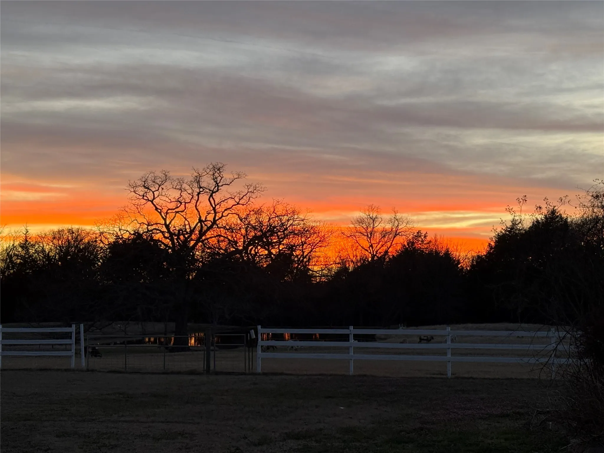 Single Family Residence For Sale in Fannin County , 1628 County Road 2605, Bonham, Texas 75418, 4 Bedroom, 3 Bathroom, 2 Garage spaces, 3,645 Sqft, built in 2001, mls#21170984, Real Estate Agent in Bonham, Homes For Sale in Fannin county, Homes For Sale in Bonham, Realtor in Bonham Texas, Real Estate Brokerage Independent Realty Texas, Luminita Cordes Realtor