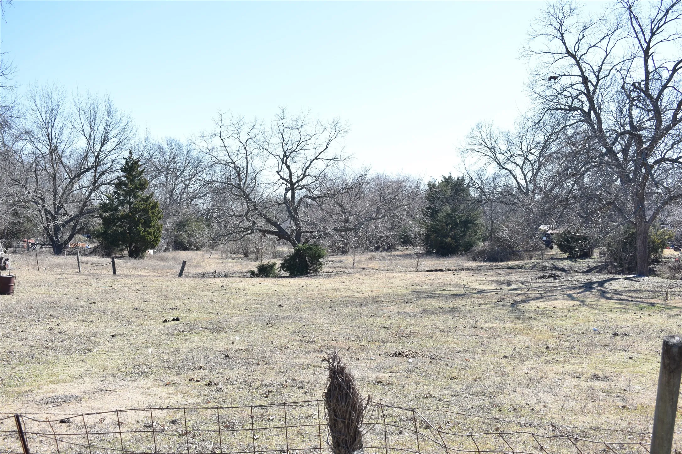 Another view with structure barely visible right side. The tall tree on right has a creek running around.
