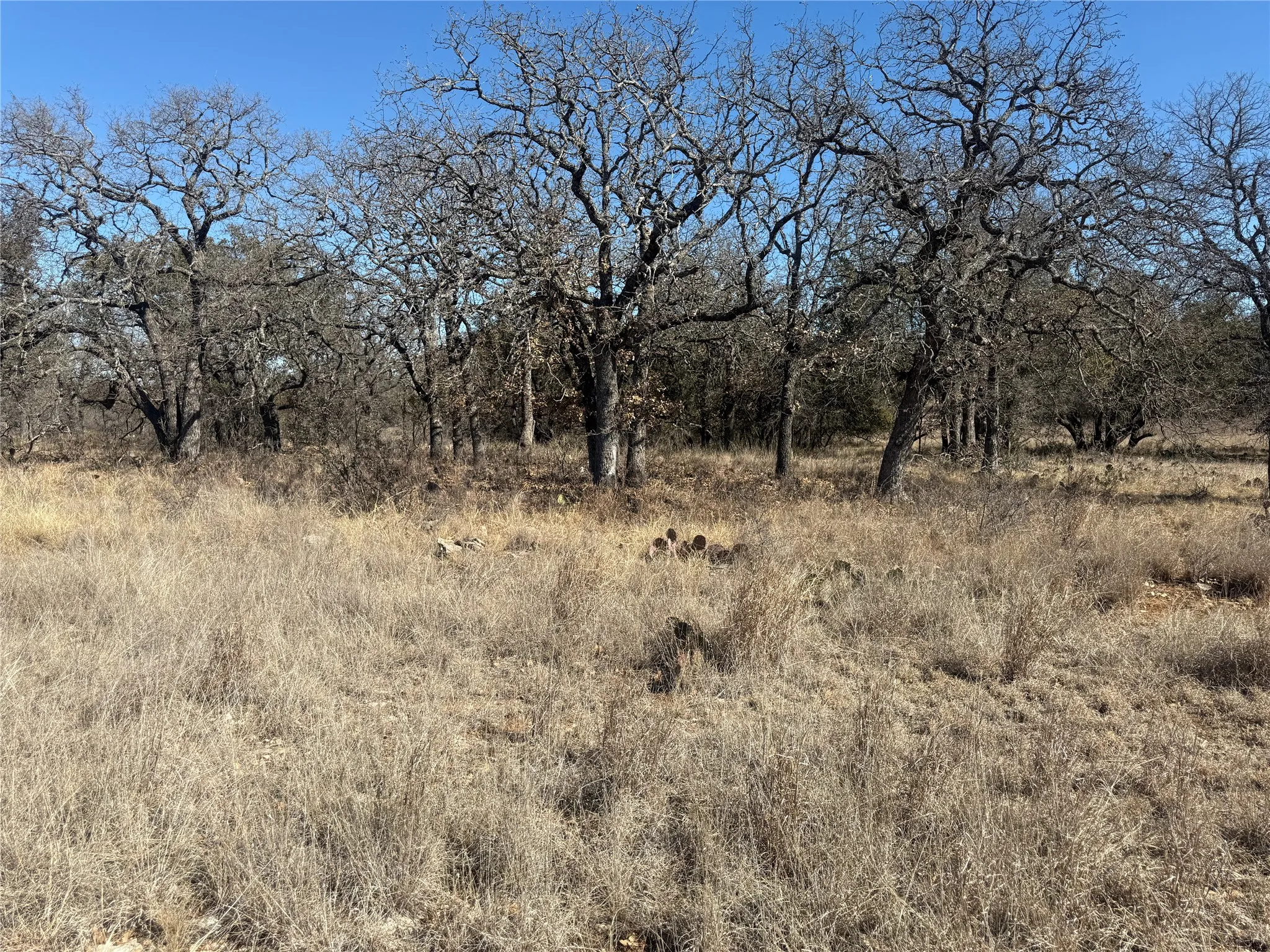 Unimproved Land For Sale in Brown County , TBD Cheryl Street, Brownwood, Texas 76801, 0, 0, Garage spaces, 0 Sqft, built in 0, mls#21172626, Real Estate Agent in Brownwood, Homes For Sale in Brown county, Homes For Sale in Brownwood, Realtor in Brownwood Texas, Real Estate Brokerage Independent Realty Texas, Luminita Cordes Realtor