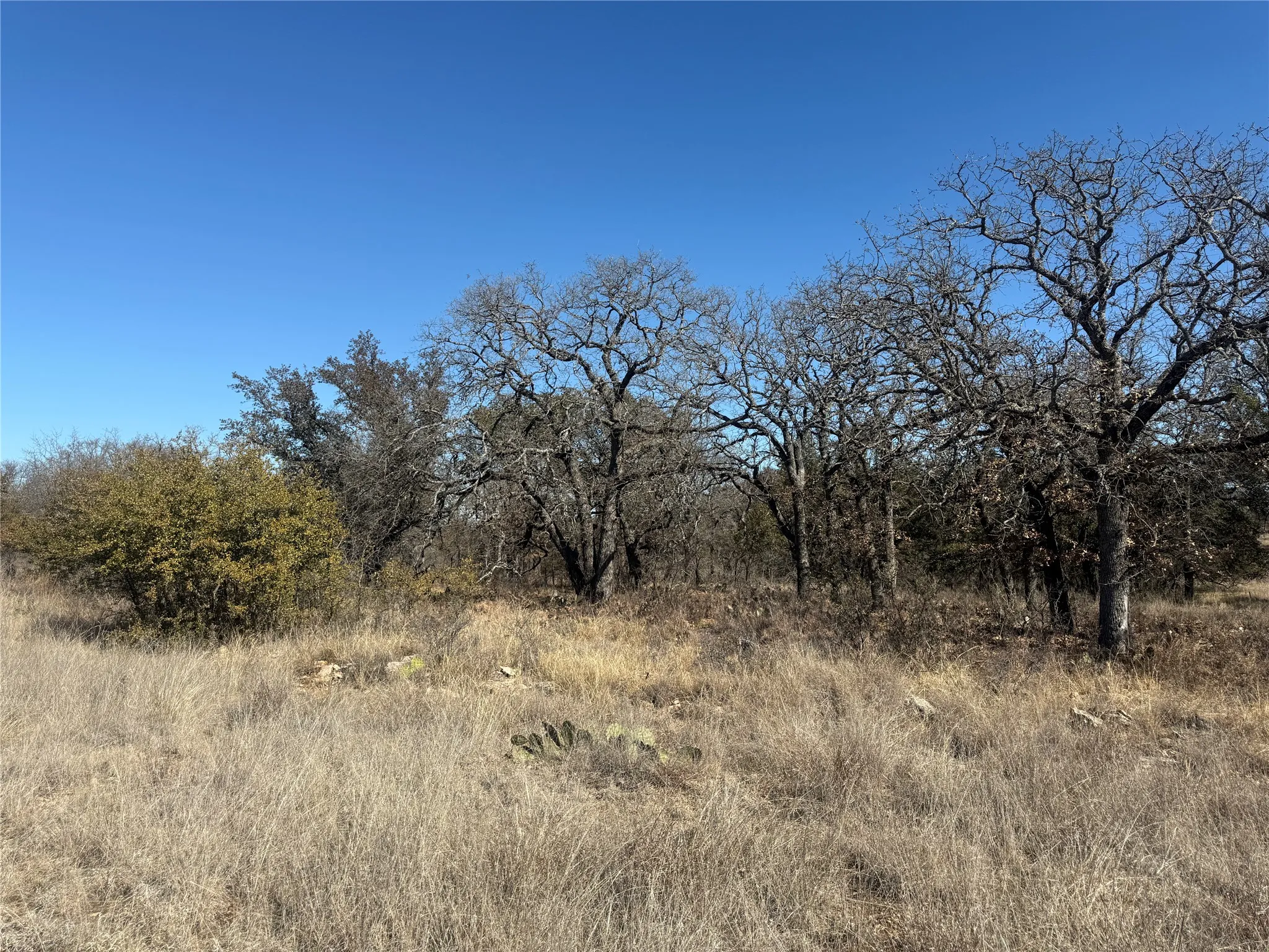 Unimproved Land For Sale in Brown County , TBD Cheryl Street, Brownwood, Texas 76801, 0, 0, Garage spaces, 0 Sqft, built in 0, mls#21172626, Real Estate Agent in Brownwood, Homes For Sale in Brown county, Homes For Sale in Brownwood, Realtor in Brownwood Texas, Real Estate Brokerage Independent Realty Texas, Luminita Cordes Realtor