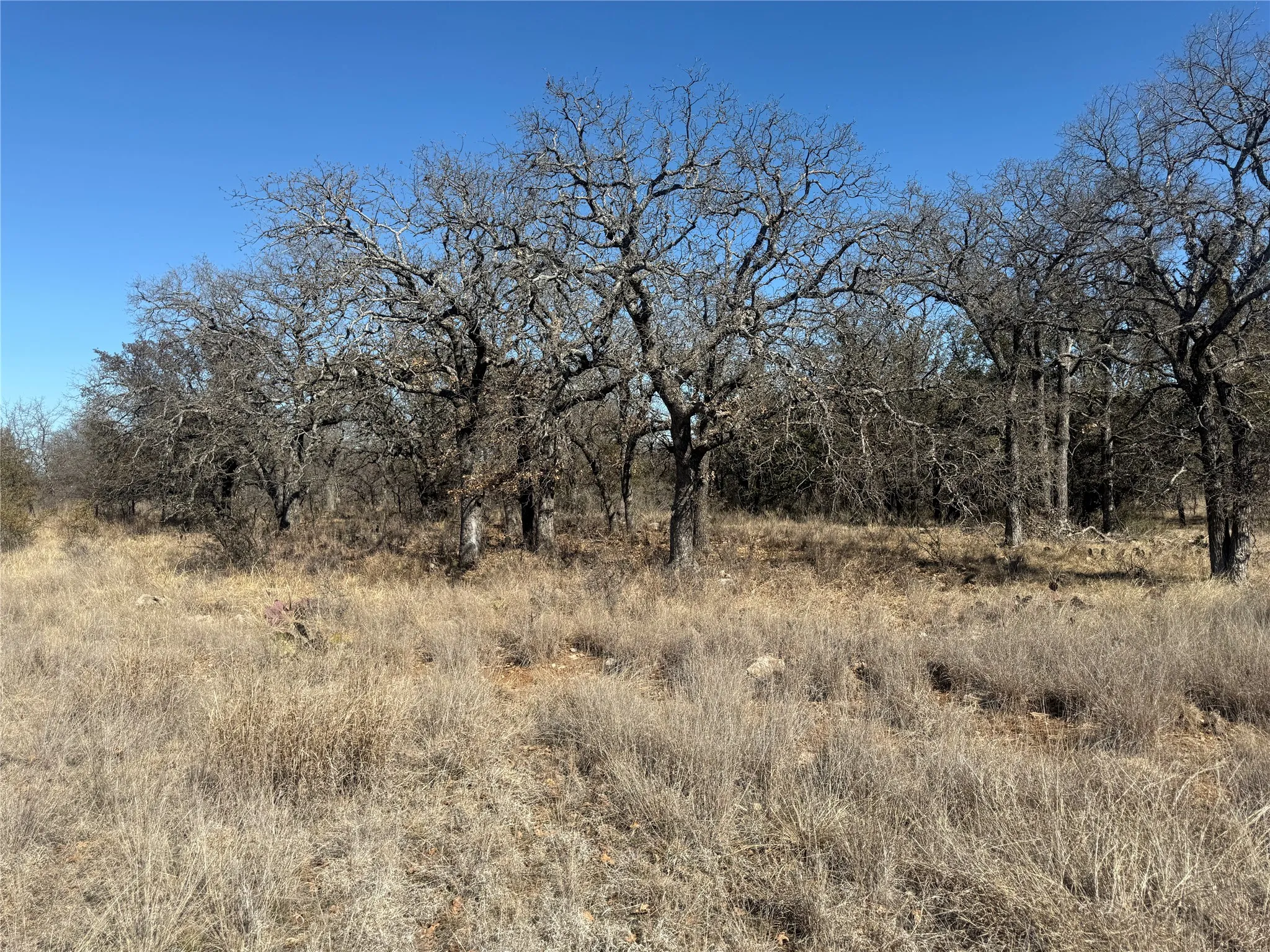 Unimproved Land For Sale in Brown County , TBD Cheryl Street, Brownwood, Texas 76801, 0, 0, Garage spaces, 0 Sqft, built in 0, mls#21172626, Real Estate Agent in Brownwood, Homes For Sale in Brown county, Homes For Sale in Brownwood, Realtor in Brownwood Texas, Real Estate Brokerage Independent Realty Texas, Luminita Cordes Realtor