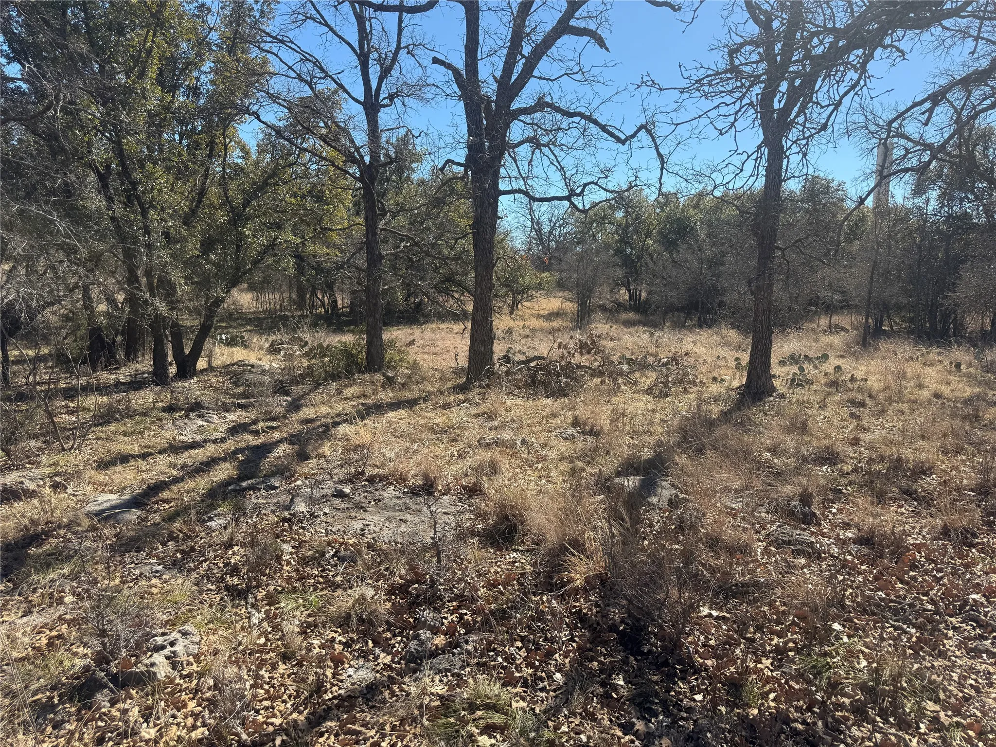 Unimproved Land For Sale in Brown County , TBD Cheryl Street, Brownwood, Texas 76801, 0, 0, Garage spaces, 0 Sqft, built in 0, mls#21172626, Real Estate Agent in Brownwood, Homes For Sale in Brown county, Homes For Sale in Brownwood, Realtor in Brownwood Texas, Real Estate Brokerage Independent Realty Texas, Luminita Cordes Realtor