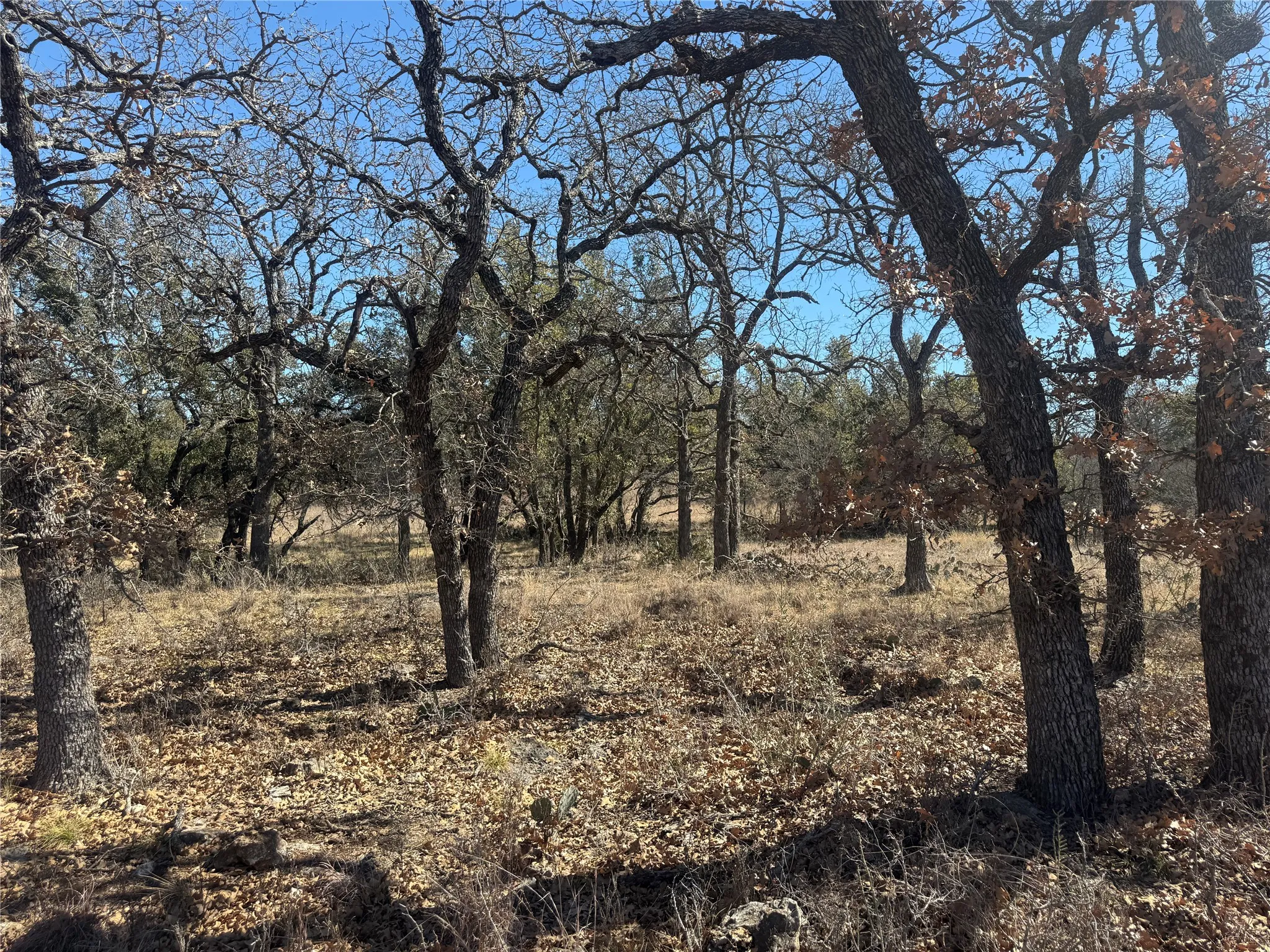 Unimproved Land For Sale in Brown County , TBD Cheryl Street, Brownwood, Texas 76801, 0, 0, Garage spaces, 0 Sqft, built in 0, mls#21172626, Real Estate Agent in Brownwood, Homes For Sale in Brown county, Homes For Sale in Brownwood, Realtor in Brownwood Texas, Real Estate Brokerage Independent Realty Texas, Luminita Cordes Realtor