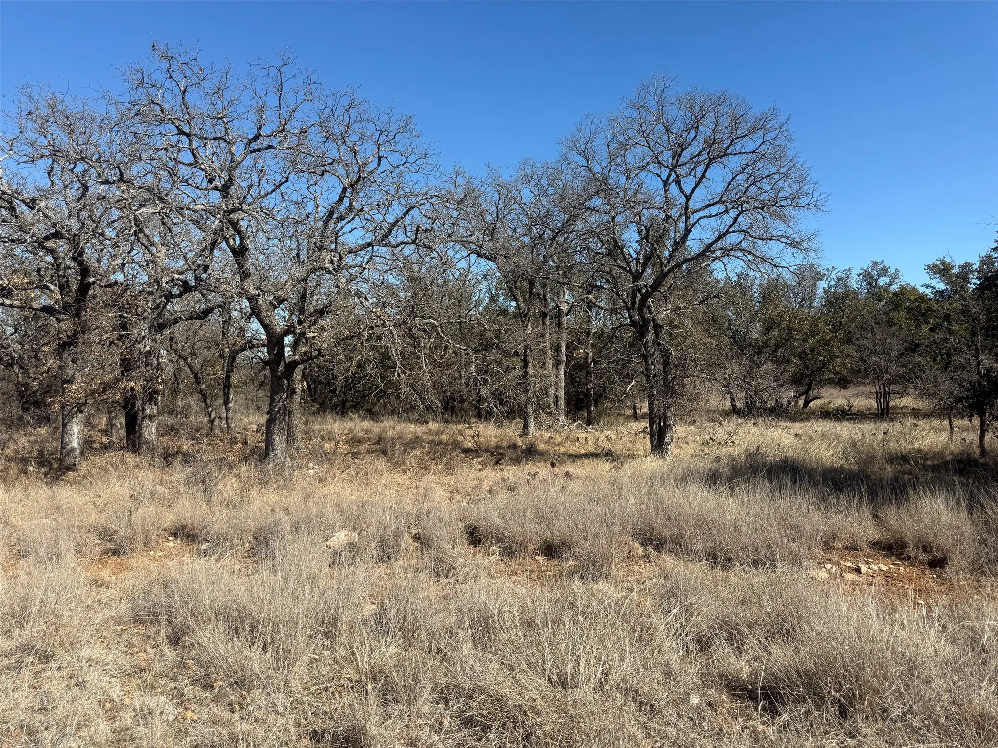 Unimproved Land For Sale in Brown County , TBD Cheryl Street, Brownwood, Texas 76801, 0, 0, Garage spaces, 0 Sqft, built in 0, mls#21172626, Real Estate Agent in Brownwood, Homes For Sale in Brown county, Homes For Sale in Brownwood, Realtor in Brownwood Texas, Real Estate Brokerage Independent Realty Texas, Luminita Cordes Realtor