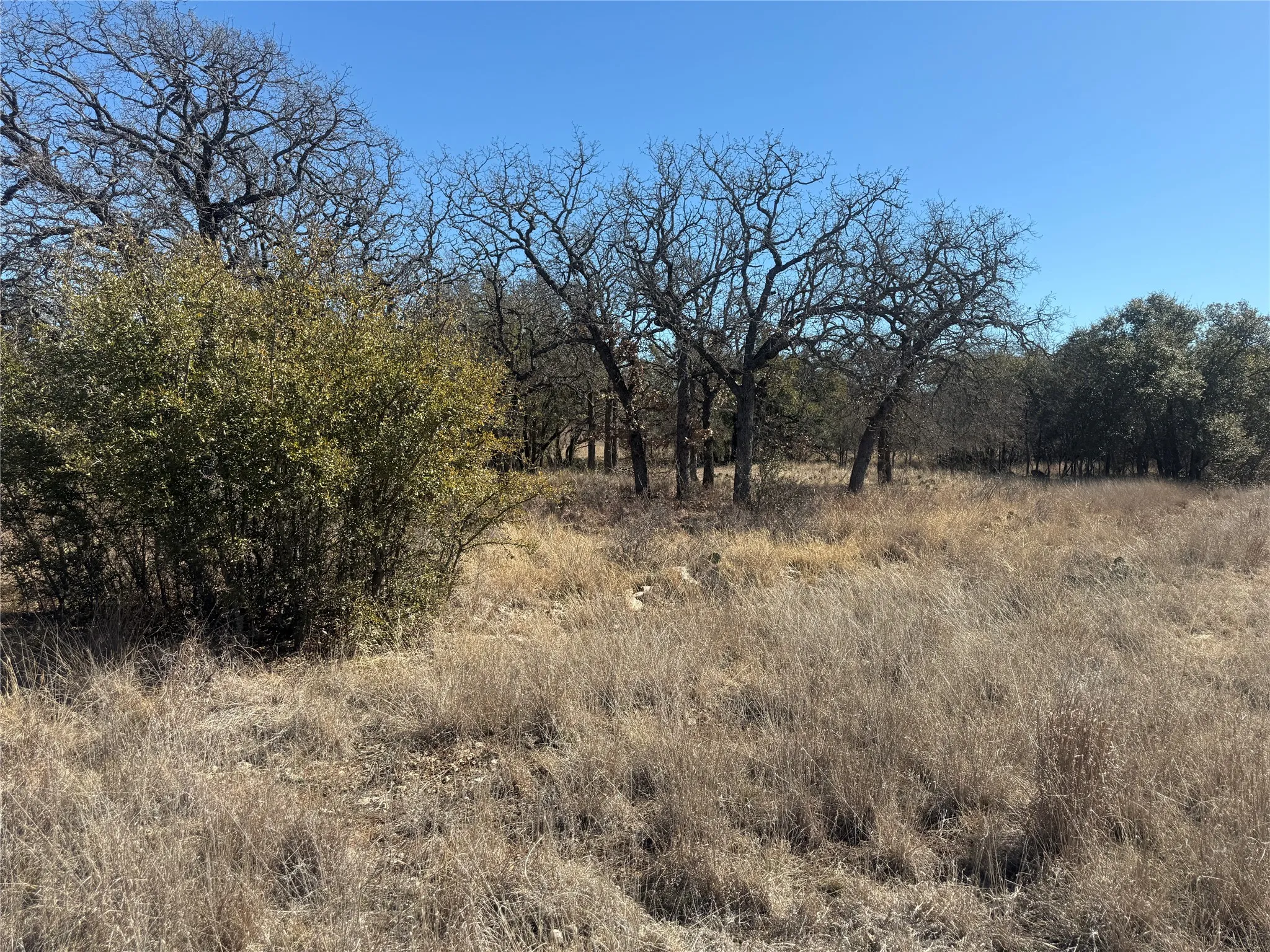 Unimproved Land For Sale in Brown County , TBD Cheryl Street, Brownwood, Texas 76801, 0, 0, Garage spaces, 0 Sqft, built in 0, mls#21172626, Real Estate Agent in Brownwood, Homes For Sale in Brown county, Homes For Sale in Brownwood, Realtor in Brownwood Texas, Real Estate Brokerage Independent Realty Texas, Luminita Cordes Realtor