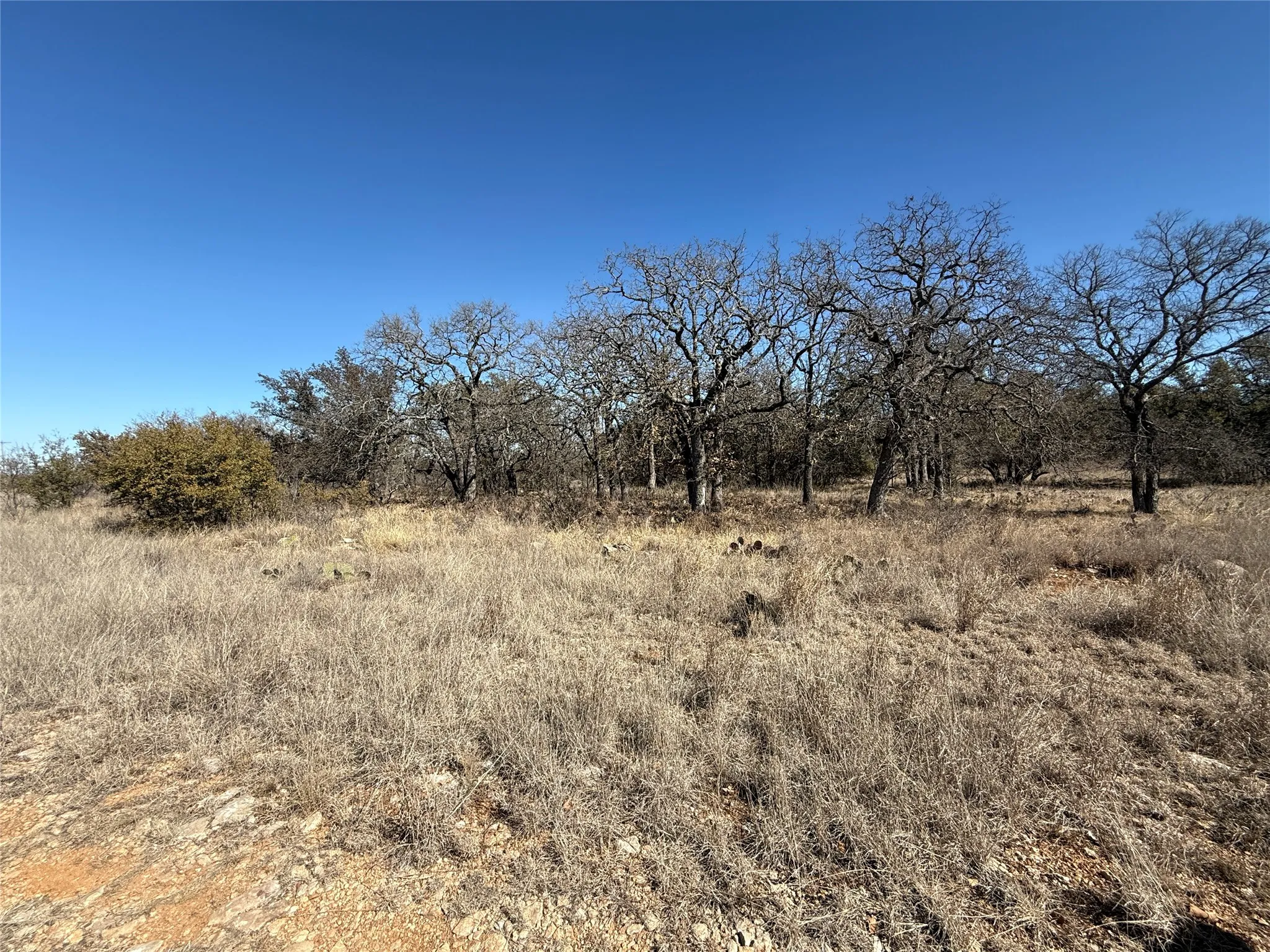 Unimproved Land For Sale in Brown County , TBD Cheryl Street, Brownwood, Texas 76801, 0, 0, Garage spaces, 0 Sqft, built in 0, mls#21172626, Real Estate Agent in Brownwood, Homes For Sale in Brown county, Homes For Sale in Brownwood, Realtor in Brownwood Texas, Real Estate Brokerage Independent Realty Texas, Luminita Cordes Realtor