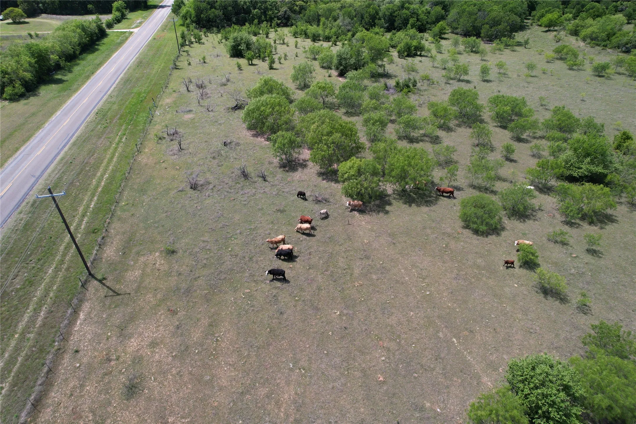 Unimproved Land For Sale in Hill County , 1331 Fm 1304, Aquilla, Texas 76622, 0, 0, Garage spaces, 0 Sqft, built in 0, Price $437,500, mls#21173219, Real Estate Agent in Aquilla, Homes For Sale in Hill county, Homes For Sale in Aquilla, Realtor in Aquilla Texas, Real Estate Brokerage Independent Realty Texas, Luminita Cordes Realtor