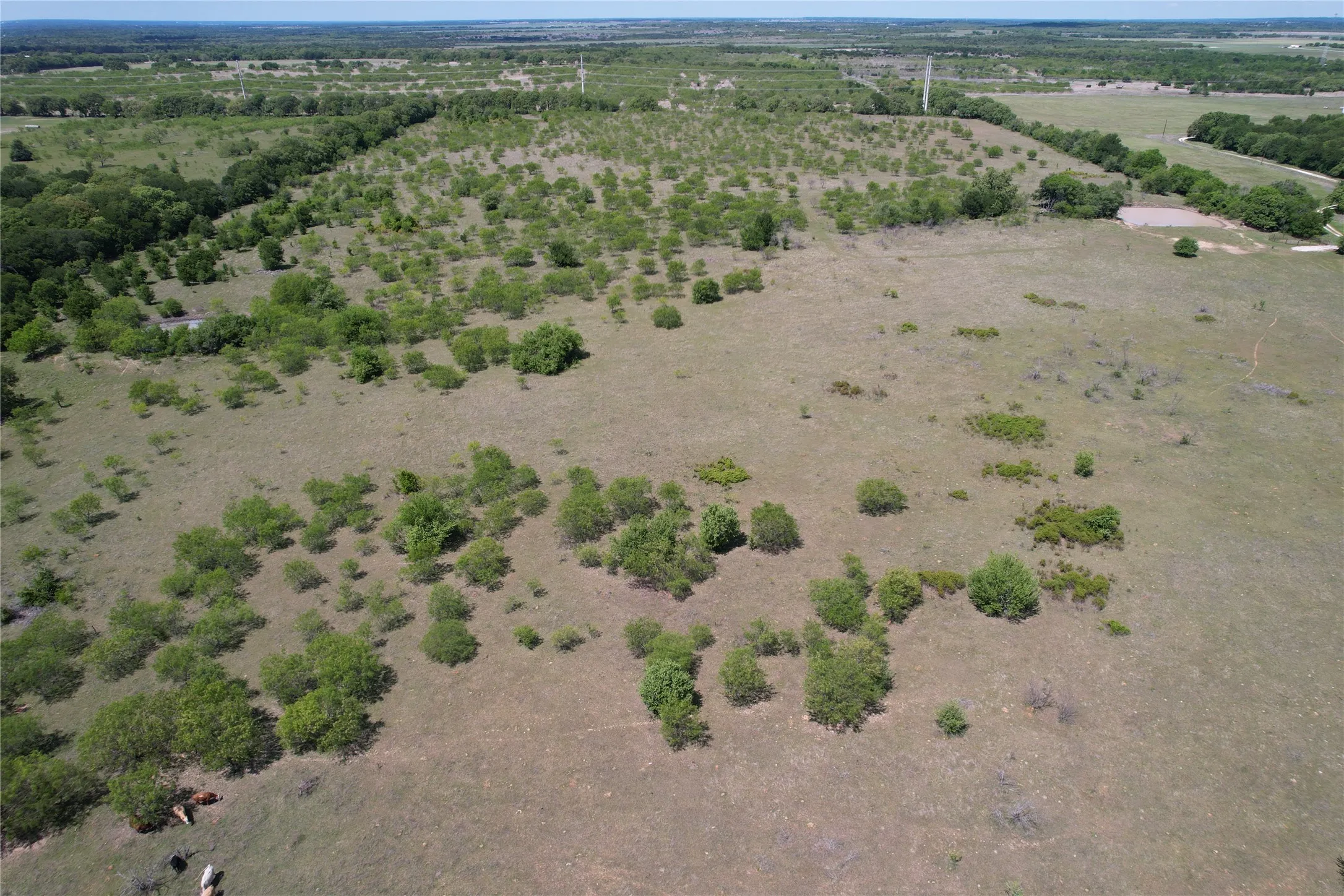 Unimproved Land For Sale in Hill County , 1331 Fm 1304, Aquilla, Texas 76622, 0, 0, Garage spaces, 0 Sqft, built in 0, Price $437,500, mls#21173219, Real Estate Agent in Aquilla, Homes For Sale in Hill county, Homes For Sale in Aquilla, Realtor in Aquilla Texas, Real Estate Brokerage Independent Realty Texas, Luminita Cordes Realtor