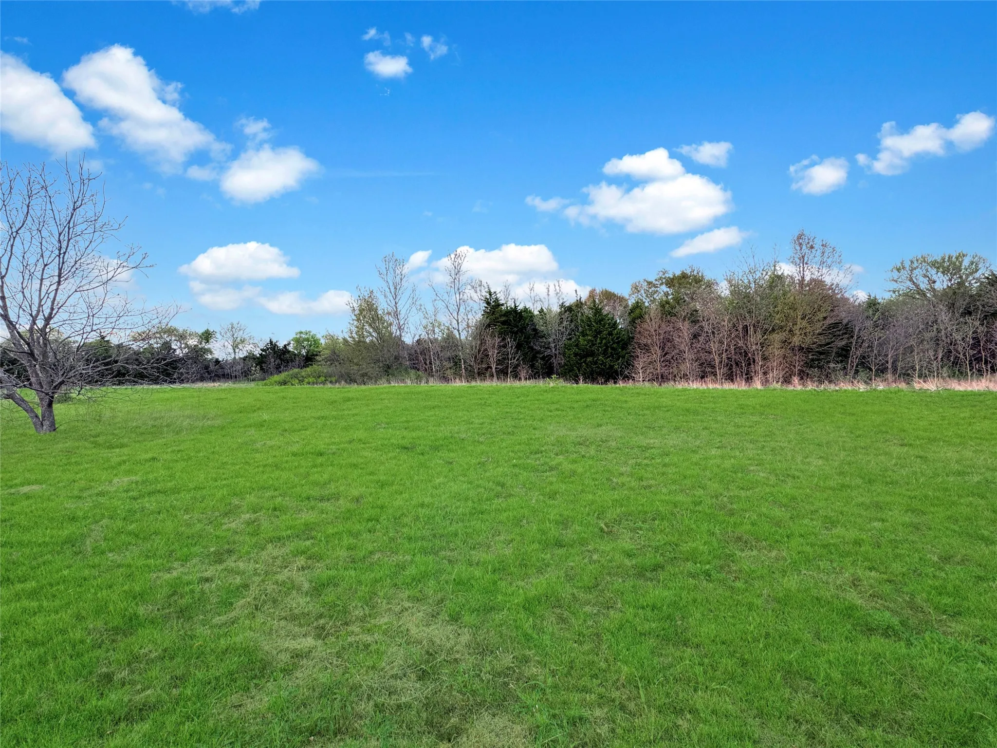 Unimproved Land For Sale in Hunt County , 2635 Private Road 1167, Farmersville, Texas 75442, 0, 0, Garage spaces, 0 Sqft, built in 0, Price $270,000, mls#21172980, Real Estate Agent in Farmersville, Homes For Sale in Hunt county, Homes For Sale in Farmersville, Realtor in Farmersville Texas, Real Estate Brokerage Independent Realty Texas, Luminita Cordes Realtor