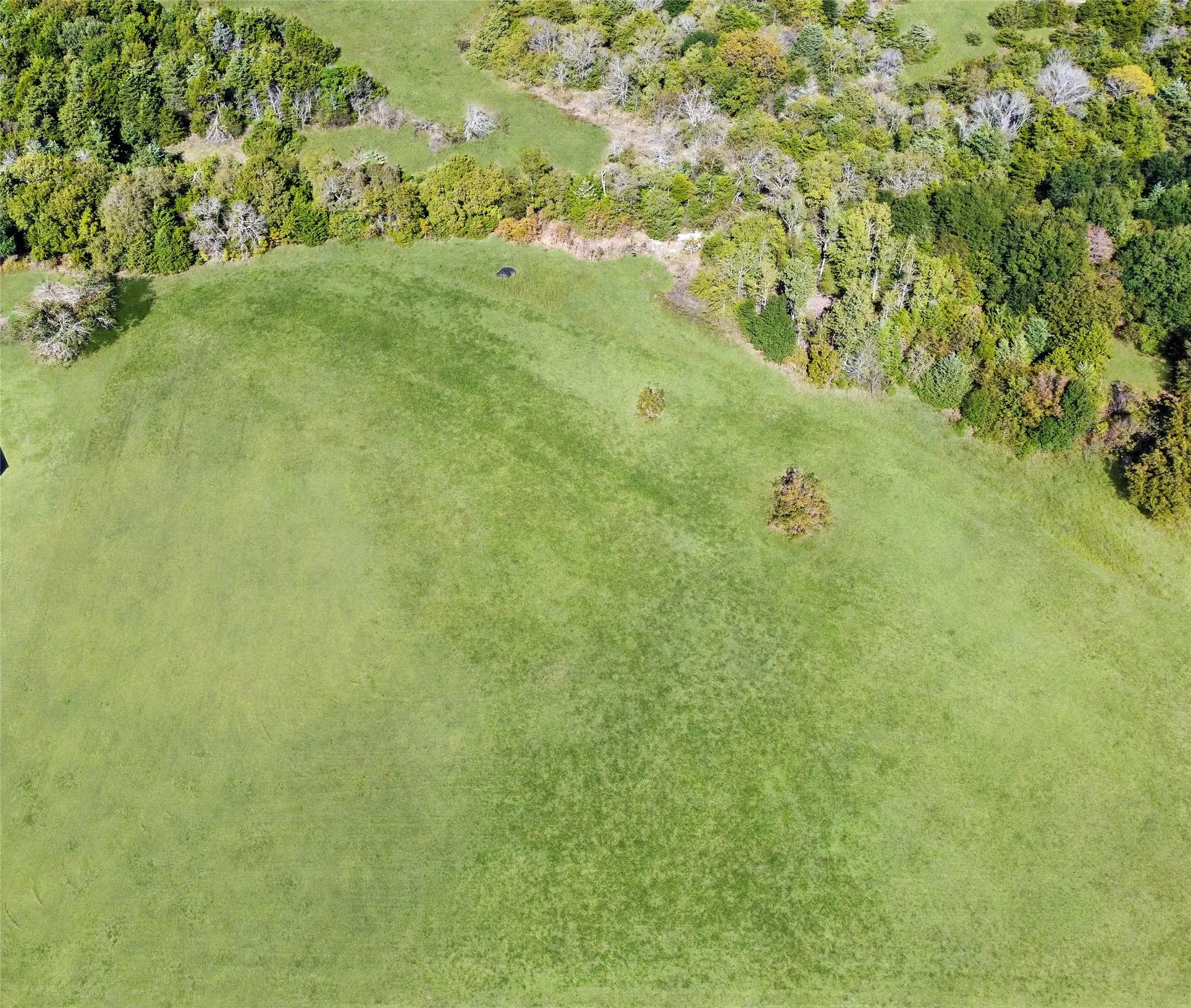 Unimproved Land For Sale in Hunt County , 2635 Private Road 1167, Farmersville, Texas 75442, 0, 0, Garage spaces, 0 Sqft, built in 0, Price $270,000, mls#21172980, Real Estate Agent in Farmersville, Homes For Sale in Hunt county, Homes For Sale in Farmersville, Realtor in Farmersville Texas, Real Estate Brokerage Independent Realty Texas, Luminita Cordes Realtor