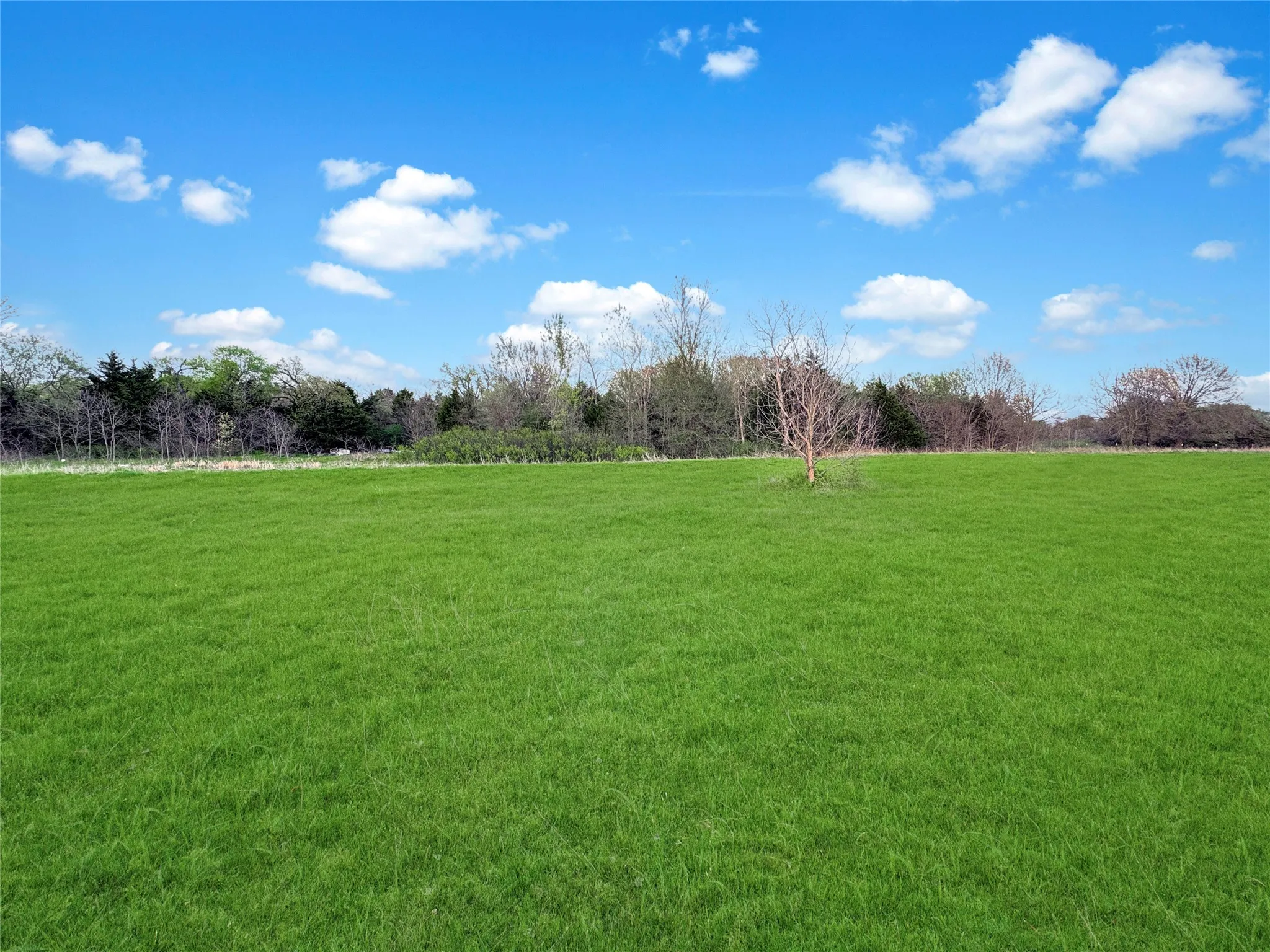 Unimproved Land For Sale in Hunt County , 2635 Private Road 1167, Farmersville, Texas 75442, 0, 0, Garage spaces, 0 Sqft, built in 0, Price $270,000, mls#21172980, Real Estate Agent in Farmersville, Homes For Sale in Hunt county, Homes For Sale in Farmersville, Realtor in Farmersville Texas, Real Estate Brokerage Independent Realty Texas, Luminita Cordes Realtor