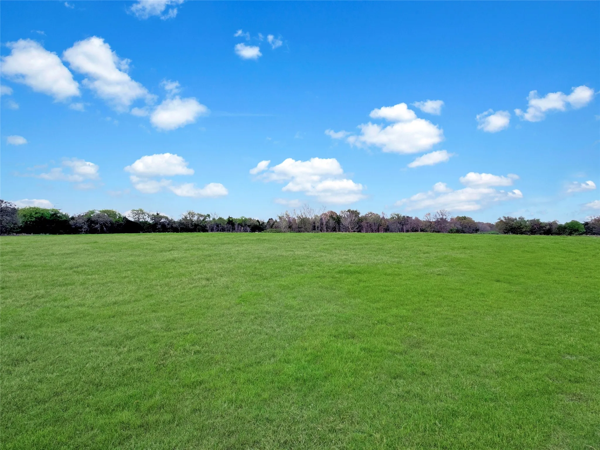 Unimproved Land For Sale in Hunt County , 2635 Private Road 1167, Farmersville, Texas 75442, 0, 0, Garage spaces, 0 Sqft, built in 0, Price $270,000, mls#21172980, Real Estate Agent in Farmersville, Homes For Sale in Hunt county, Homes For Sale in Farmersville, Realtor in Farmersville Texas, Real Estate Brokerage Independent Realty Texas, Luminita Cordes Realtor