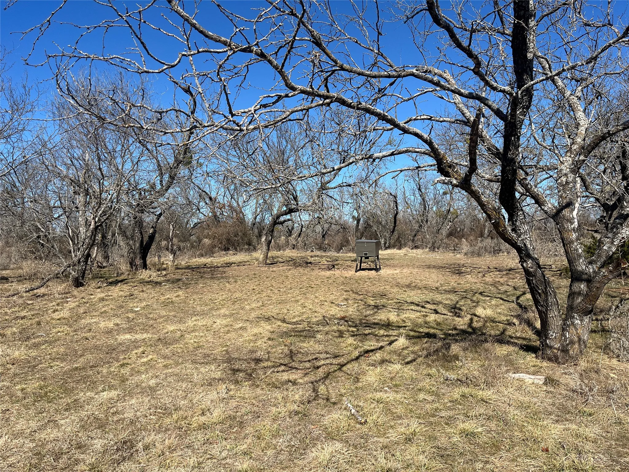 Mobile Home For Sale in Erath County , 6164 County Road 264, Dublin, Texas 76446, 3 Bedroom, 2 Bathroom, Garage spaces, 1,872 Sqft, built in 1975, mls#21173291, Real Estate Agent in Dublin, Homes For Sale in Erath county, Homes For Sale in Dublin, Realtor in Dublin Texas, Real Estate Brokerage Independent Realty Texas, Luminita Cordes Realtor