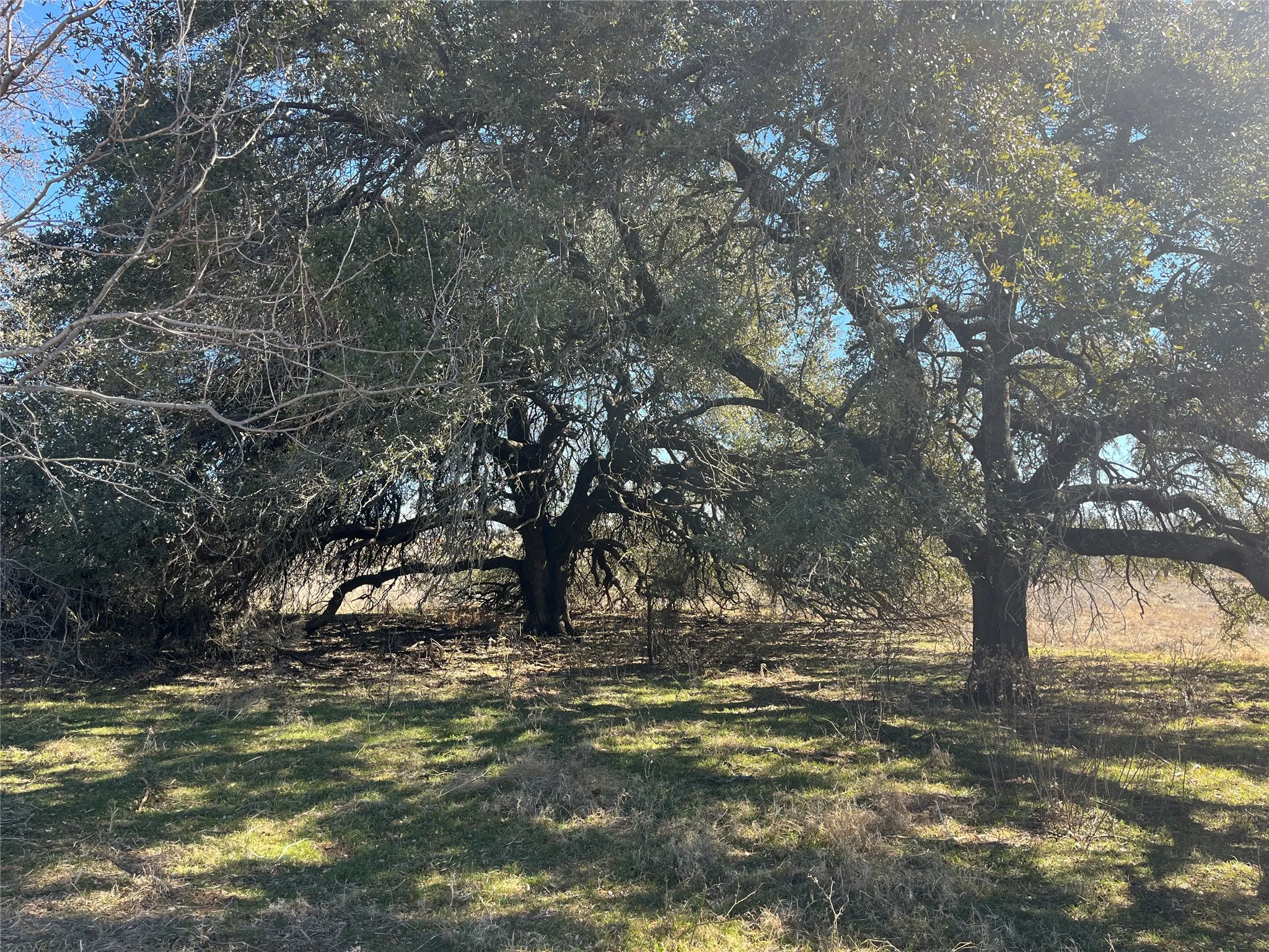 Mobile Home For Sale in Erath County , 6164 County Road 264, Dublin, Texas 76446, 3 Bedroom, 2 Bathroom, Garage spaces, 1,872 Sqft, built in 1975, mls#21173291, Real Estate Agent in Dublin, Homes For Sale in Erath county, Homes For Sale in Dublin, Realtor in Dublin Texas, Real Estate Brokerage Independent Realty Texas, Luminita Cordes Realtor