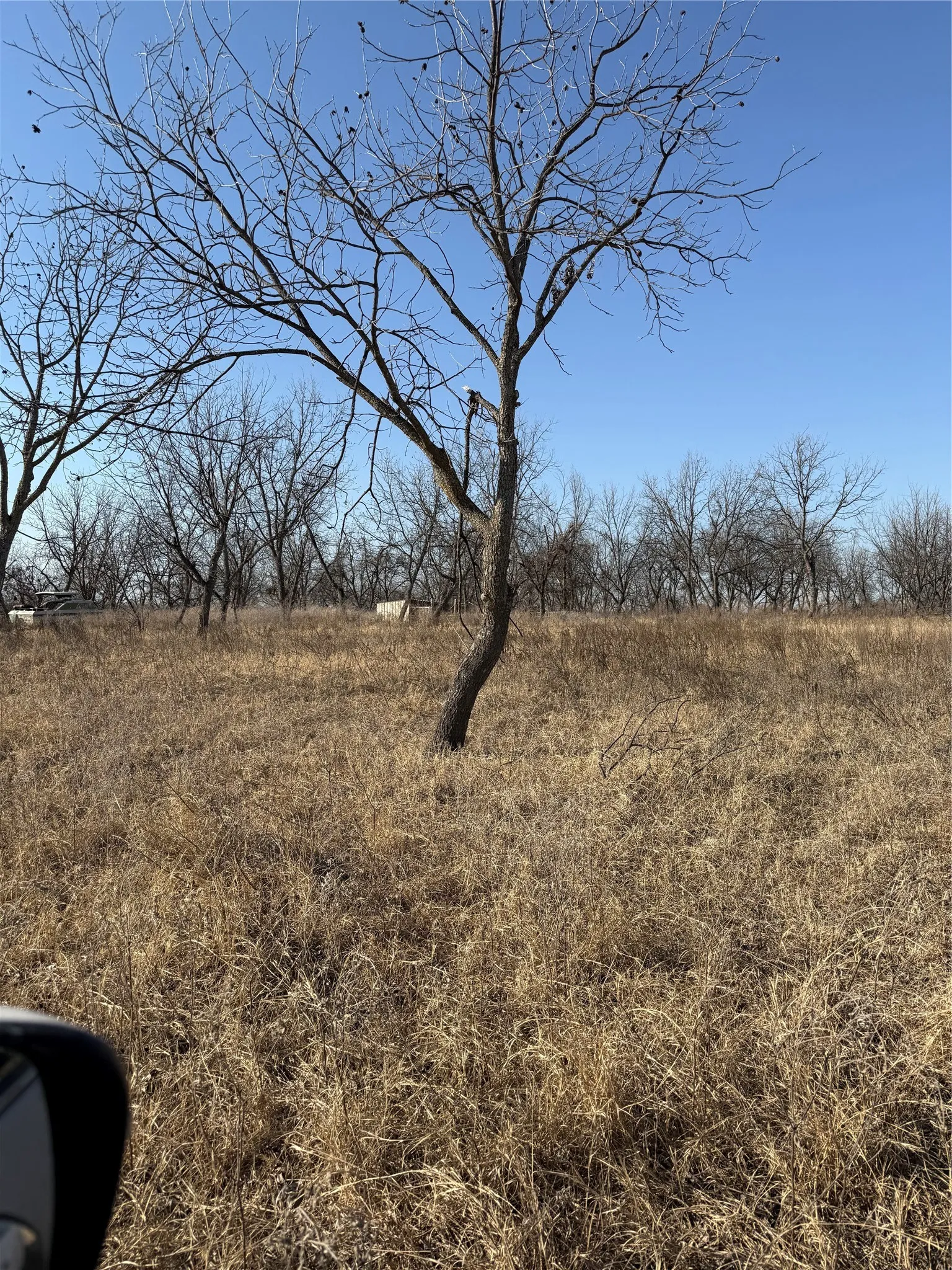Improved Land For Sale in Comanche County , 1209 County Road 416, Comanche, Texas 76442, 0, 0, Garage spaces, 0 Sqft, built in 0, Price $119,000, mls#21173327, Real Estate Agent in Comanche, Homes For Sale in Comanche county, Homes For Sale in Comanche, Realtor in Comanche Texas, Real Estate Brokerage Independent Realty Texas, Luminita Cordes Realtor