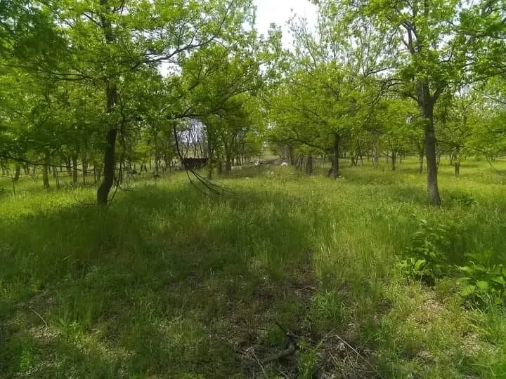 Improved Land For Sale in Comanche County , 1209 County Road 416, Comanche, Texas 76442, 0, 0, Garage spaces, 0 Sqft, built in 0, Price $119,000, mls#21173327, Real Estate Agent in Comanche, Homes For Sale in Comanche county, Homes For Sale in Comanche, Realtor in Comanche Texas, Real Estate Brokerage Independent Realty Texas, Luminita Cordes Realtor