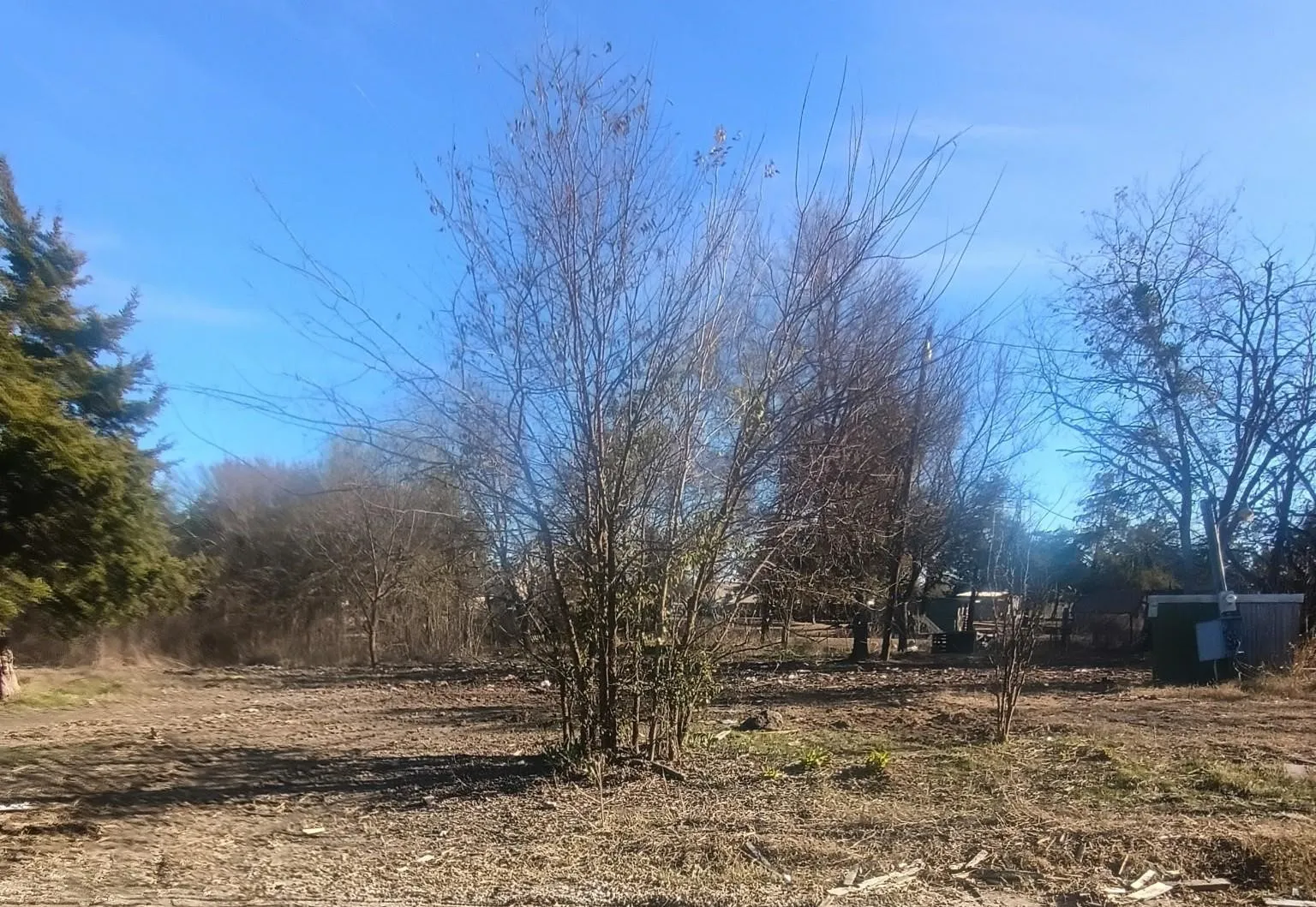 Unimproved Land For Sale in Hunt County , 8744 Private Road 2284 Road, Quinlan, Texas 75474, 0, 0, Garage spaces, 0 Sqft, built in 0, mls#21173363, Real Estate Agent in Quinlan, Homes For Sale in Hunt county, Homes For Sale in Quinlan, Realtor in Quinlan Texas, Real Estate Brokerage Independent Realty Texas, Luminita Cordes Realtor