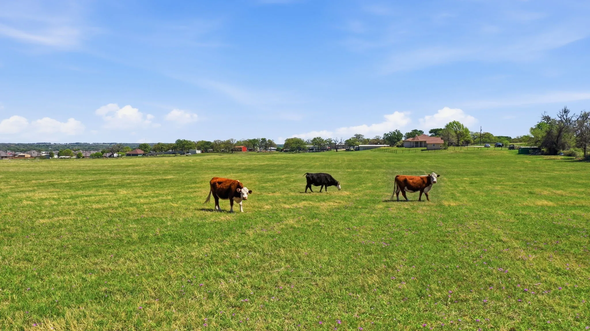 Farm For Sale in Parker County , 3601 Springfield Road, Springtown, Texas 76082, 4 Bedroom, 3 Bathroom, 2 Garage spaces, 4,749 Sqft, built in 2005, mls#21173375, Real Estate Agent in Springtown, Homes For Sale in Parker county, Homes For Sale in Springtown, Realtor in Springtown Texas, Real Estate Brokerage Independent Realty Texas, Luminita Cordes Realtor