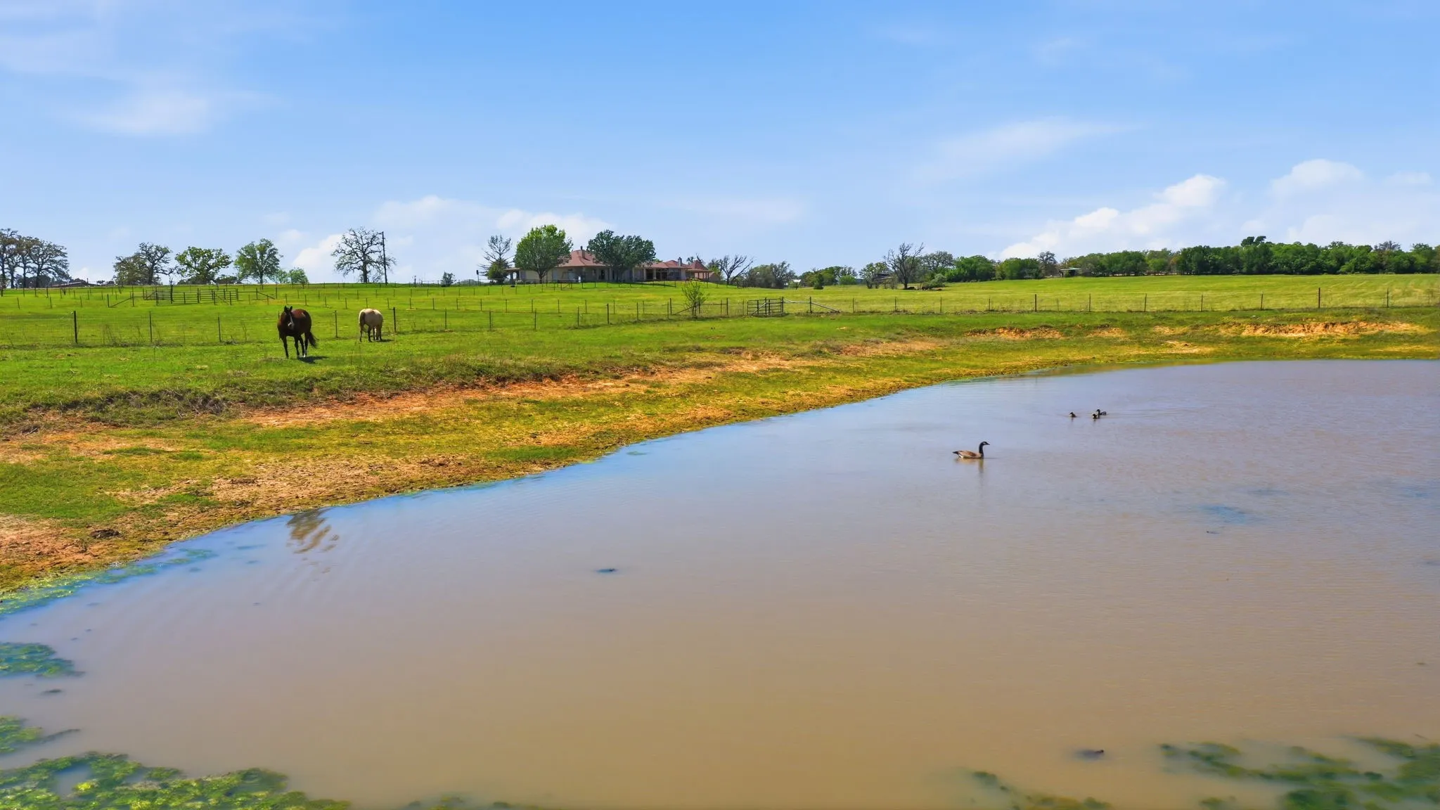 Farm For Sale in Parker County , 3601 Springfield Road, Springtown, Texas 76082, 4 Bedroom, 3 Bathroom, 2 Garage spaces, 4,749 Sqft, built in 2005, mls#21173375, Real Estate Agent in Springtown, Homes For Sale in Parker county, Homes For Sale in Springtown, Realtor in Springtown Texas, Real Estate Brokerage Independent Realty Texas, Luminita Cordes Realtor