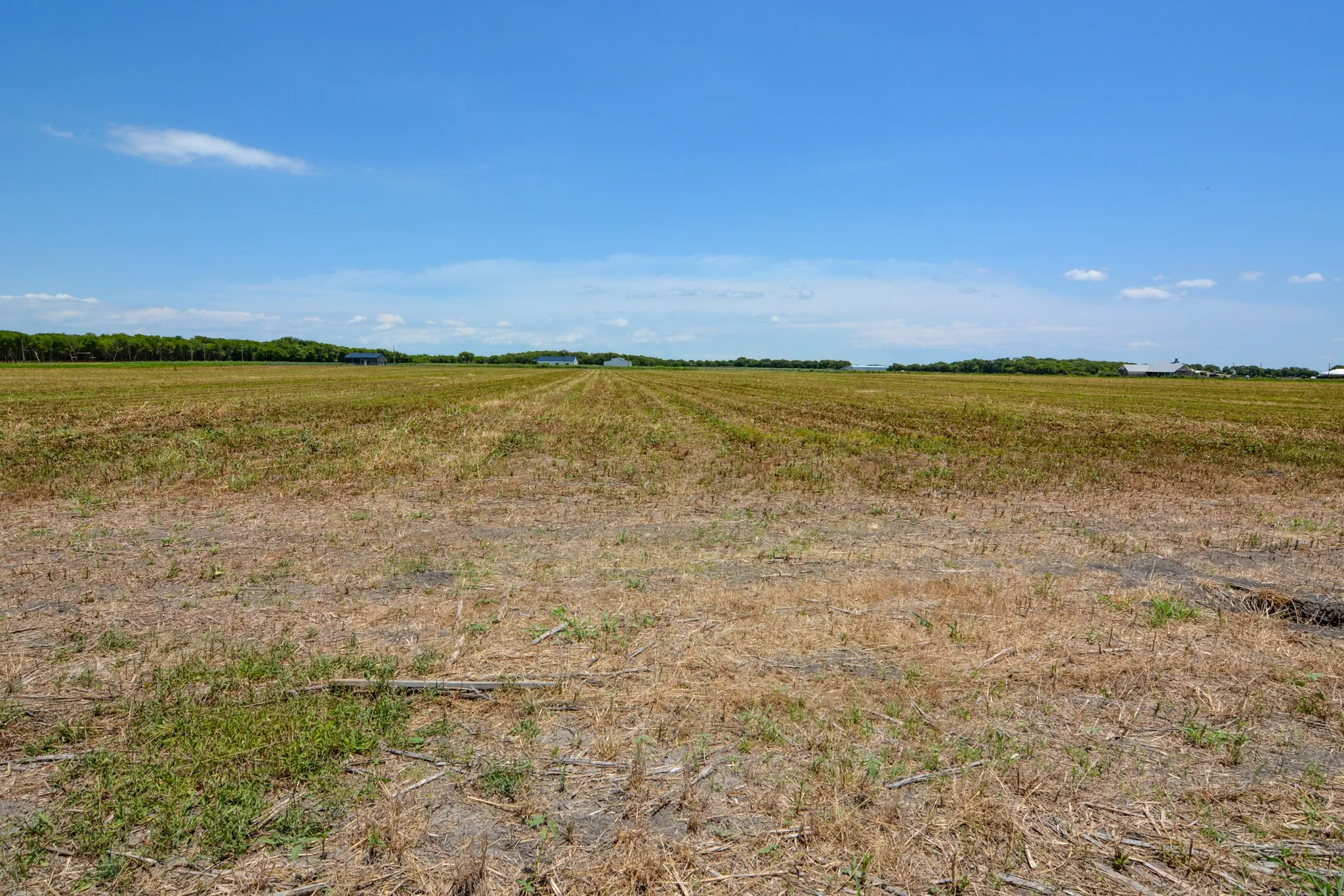 Unimproved Land For Sale in Johnson County , 9117 County Road 101A, Grandview, Texas 76050, 0, 0, Garage spaces, 0 Sqft, built in 0, mls#21173423, Real Estate Agent in Grandview, Homes For Sale in Johnson county, Homes For Sale in Grandview, Realtor in Grandview Texas, Real Estate Brokerage Independent Realty Texas, Luminita Cordes Realtor
