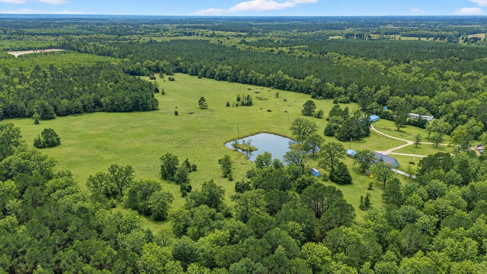 Expansive acreage featuring a private pond, open pastures, and mature tree cover