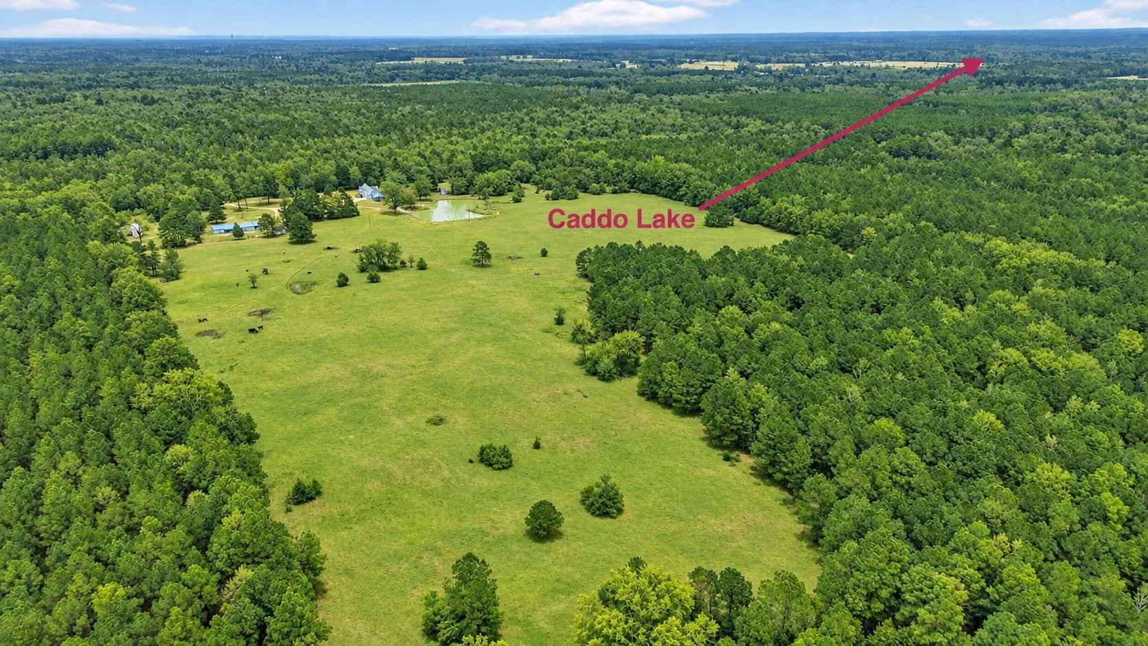 Expansive acreage featuring cleared pasture, dense woodlands, and a pond