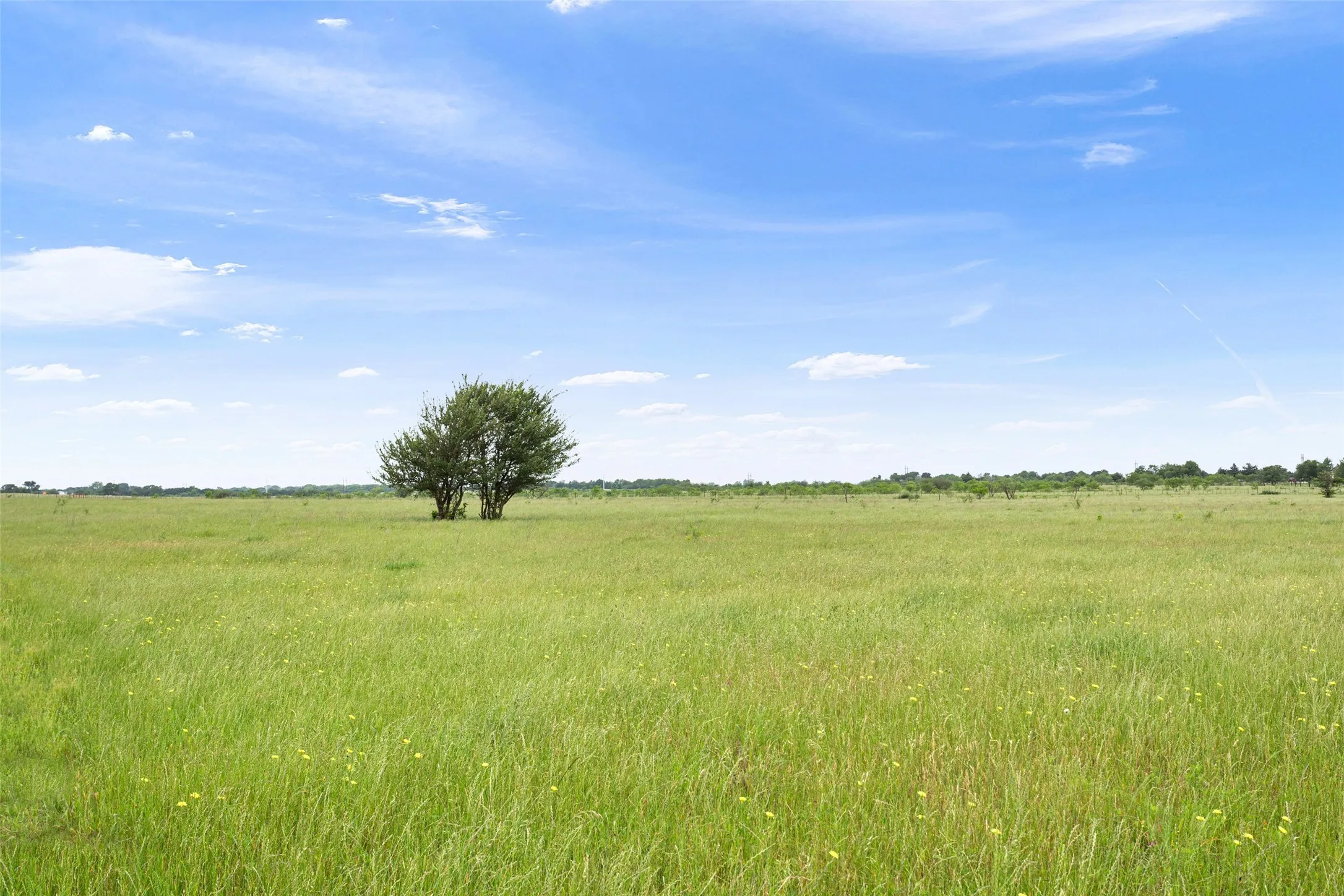 Unimproved Land For Sale in Limestone County , TBD Highway 14 S, Groesbeck, Texas 76642, 0, 0, Garage spaces, 0 Sqft, built in 0, Price $153,000, mls#21173045, Real Estate Agent in Groesbeck, Homes For Sale in Limestone county, Homes For Sale in Groesbeck, Realtor in Groesbeck Texas, Real Estate Brokerage Independent Realty Texas, Luminita Cordes Realtor