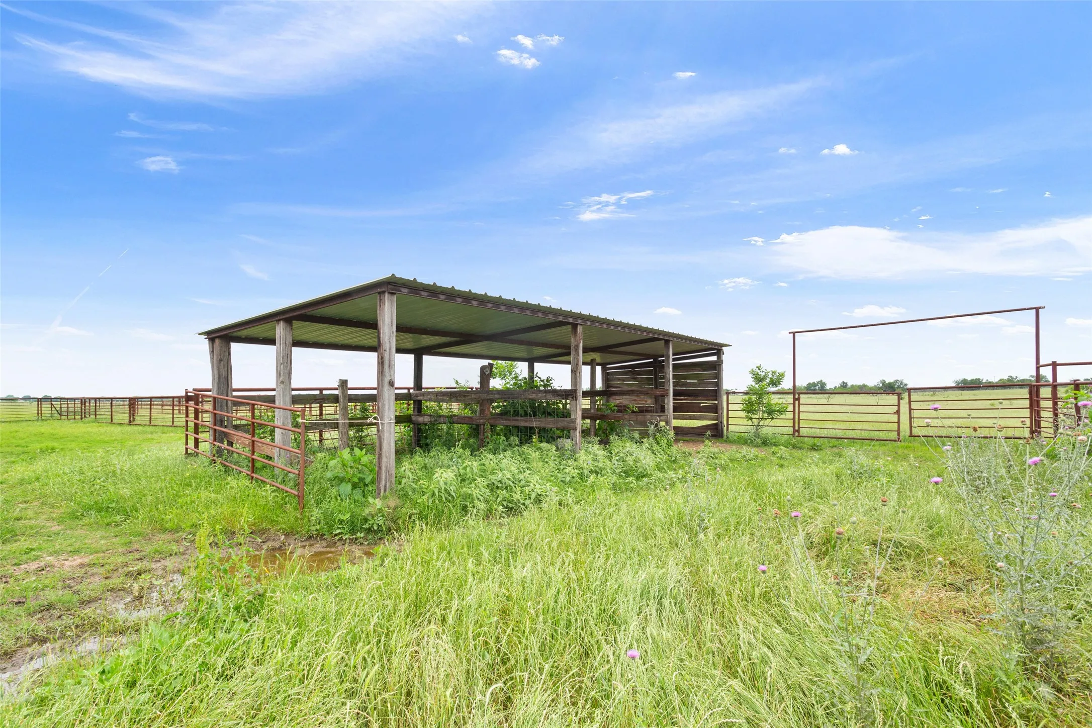 Unimproved Land For Sale in Limestone County , TBD Highway 14 S, Groesbeck, Texas 76642, 0, 0, Garage spaces, 0 Sqft, built in 0, Price $153,000, mls#21173045, Real Estate Agent in Groesbeck, Homes For Sale in Limestone county, Homes For Sale in Groesbeck, Realtor in Groesbeck Texas, Real Estate Brokerage Independent Realty Texas, Luminita Cordes Realtor
