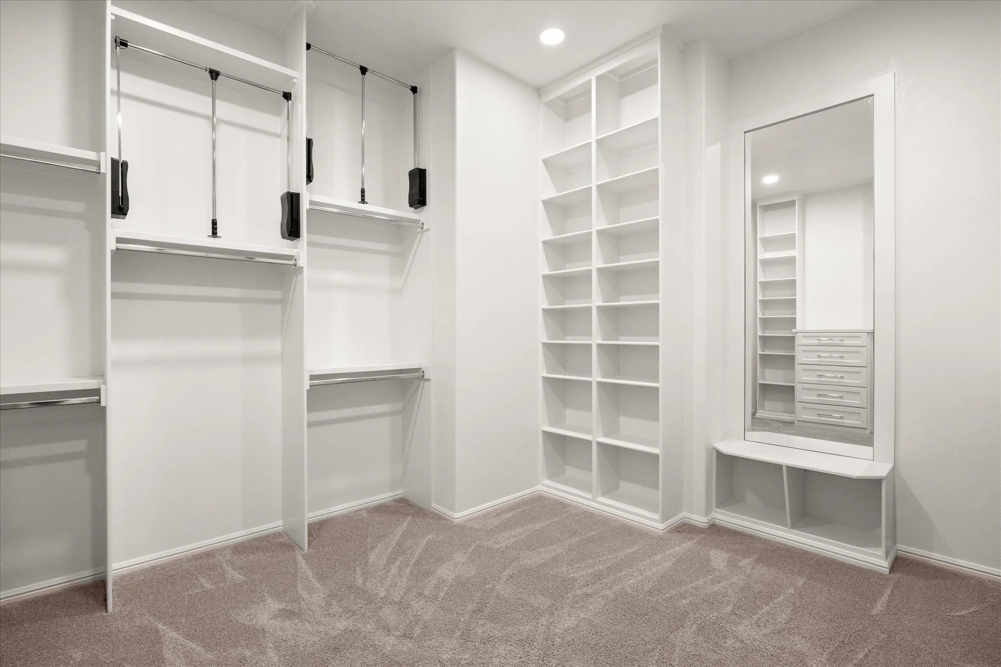 Spacious closet featuring light carpet