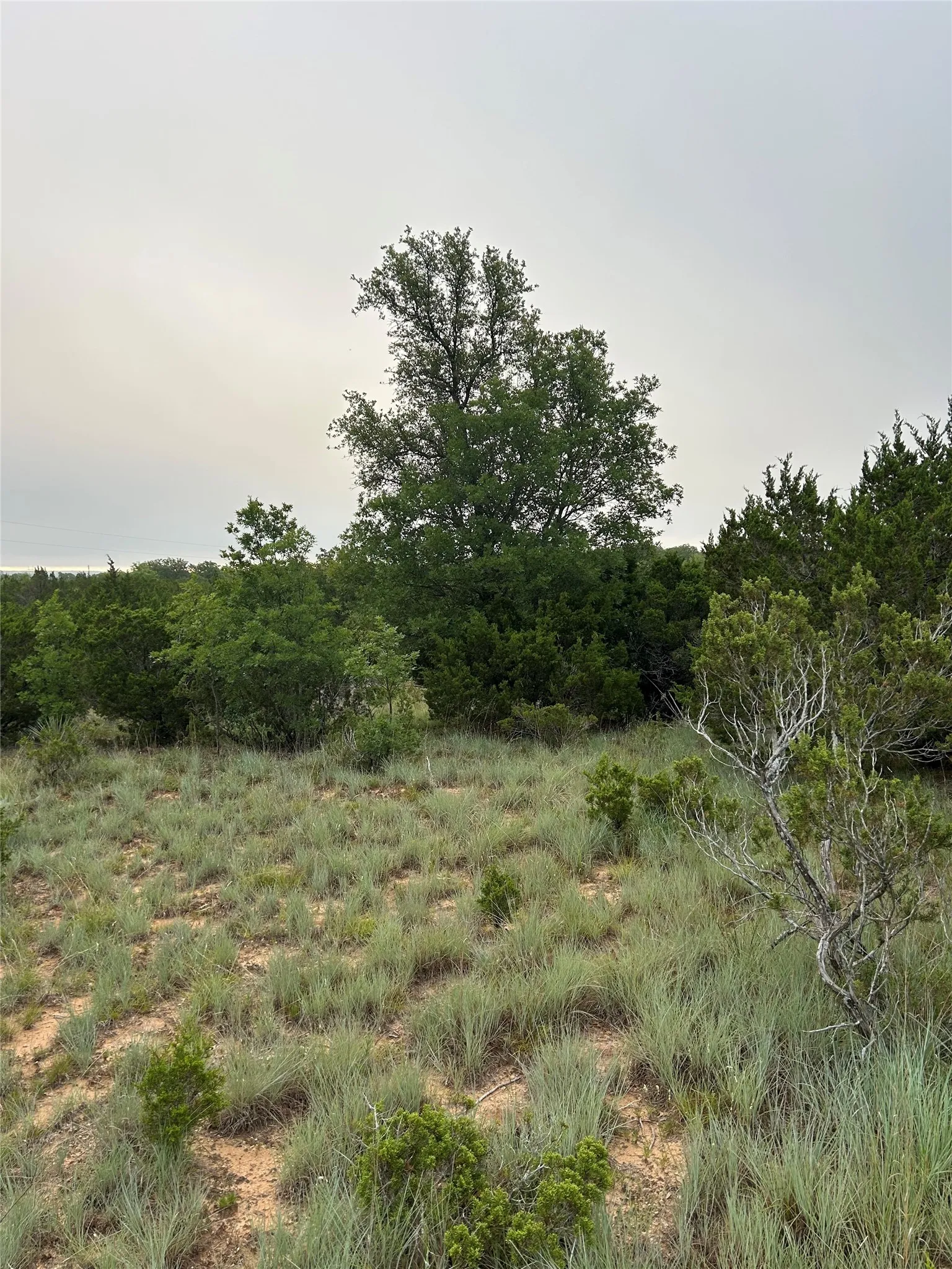 Unimproved Land For Sale in Taylor County , 1.99 Antler Ridge, Tuscola, Texas 79562, 0, 0, Garage spaces, 0 Sqft, built in 0, Price $95,000, mls#21173659, Real Estate Agent in Tuscola, Homes For Sale in Taylor county, Homes For Sale in Tuscola, Realtor in Tuscola Texas, Real Estate Brokerage Independent Realty Texas, Luminita Cordes Realtor