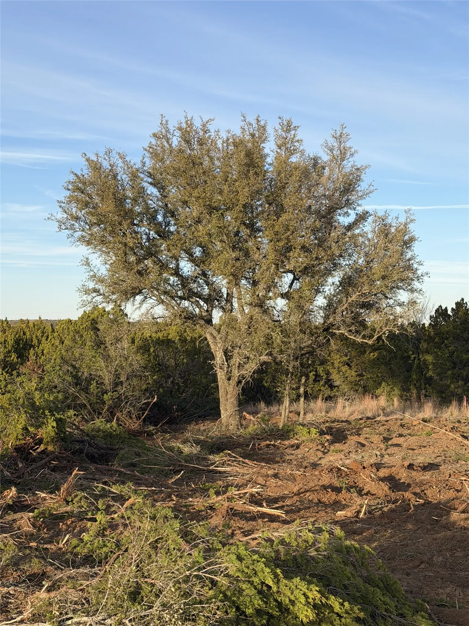 Unimproved Land For Sale in Taylor County , 1.99 Antler Ridge, Tuscola, Texas 79562, 0, 0, Garage spaces, 0 Sqft, built in 0, Price $95,000, mls#21173659, Real Estate Agent in Tuscola, Homes For Sale in Taylor county, Homes For Sale in Tuscola, Realtor in Tuscola Texas, Real Estate Brokerage Independent Realty Texas, Luminita Cordes Realtor