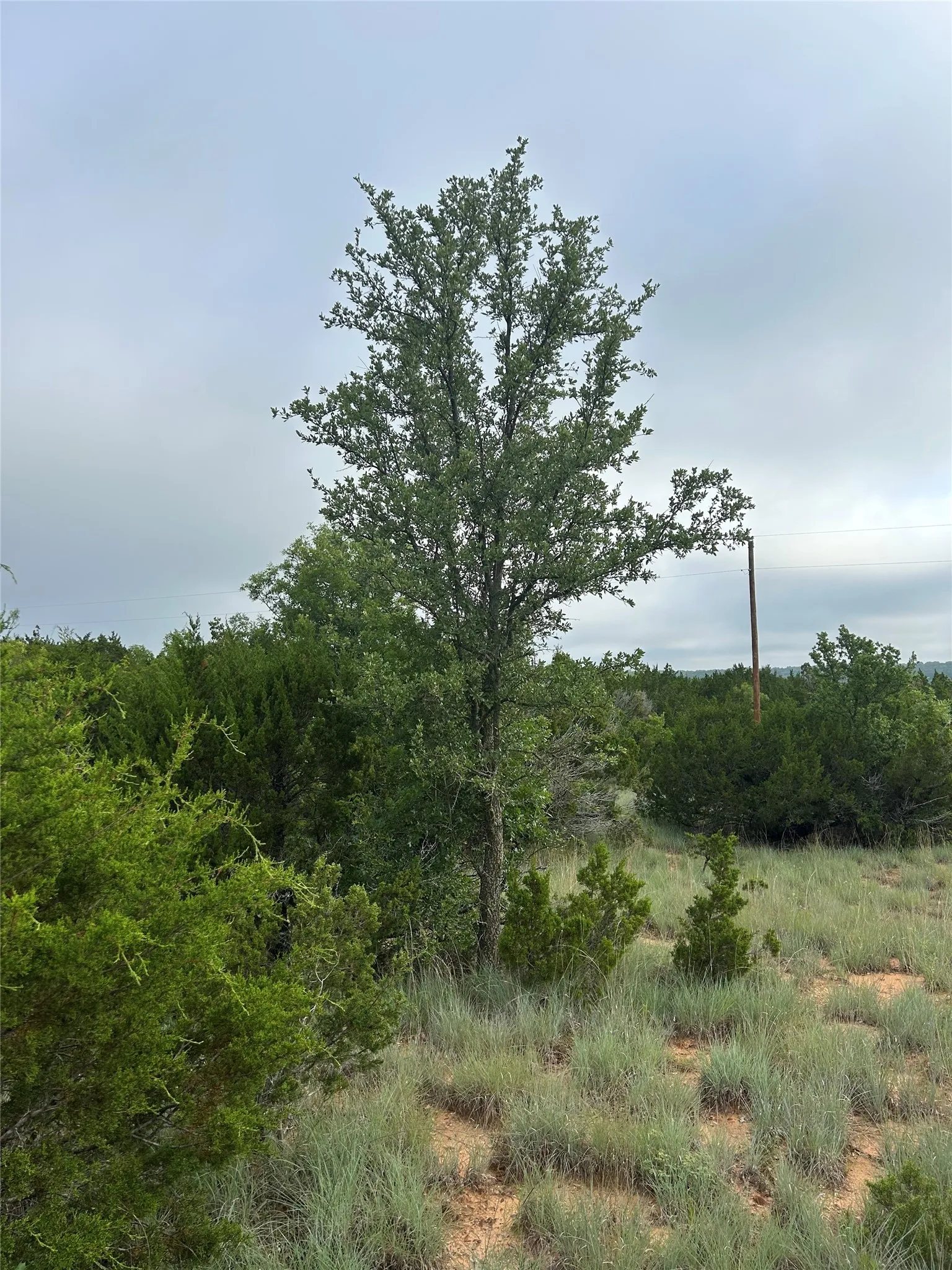 Unimproved Land For Sale in Taylor County , 1.99 Antler Ridge, Tuscola, Texas 79562, 0, 0, Garage spaces, 0 Sqft, built in 0, Price $95,000, mls#21173659, Real Estate Agent in Tuscola, Homes For Sale in Taylor county, Homes For Sale in Tuscola, Realtor in Tuscola Texas, Real Estate Brokerage Independent Realty Texas, Luminita Cordes Realtor