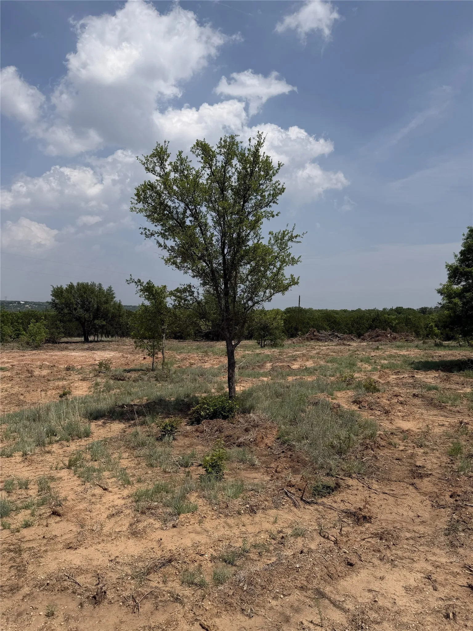 Unimproved Land For Sale in Taylor County , 1.99 Antler Ridge, Tuscola, Texas 79562, 0, 0, Garage spaces, 0 Sqft, built in 0, Price $95,000, mls#21173659, Real Estate Agent in Tuscola, Homes For Sale in Taylor county, Homes For Sale in Tuscola, Realtor in Tuscola Texas, Real Estate Brokerage Independent Realty Texas, Luminita Cordes Realtor