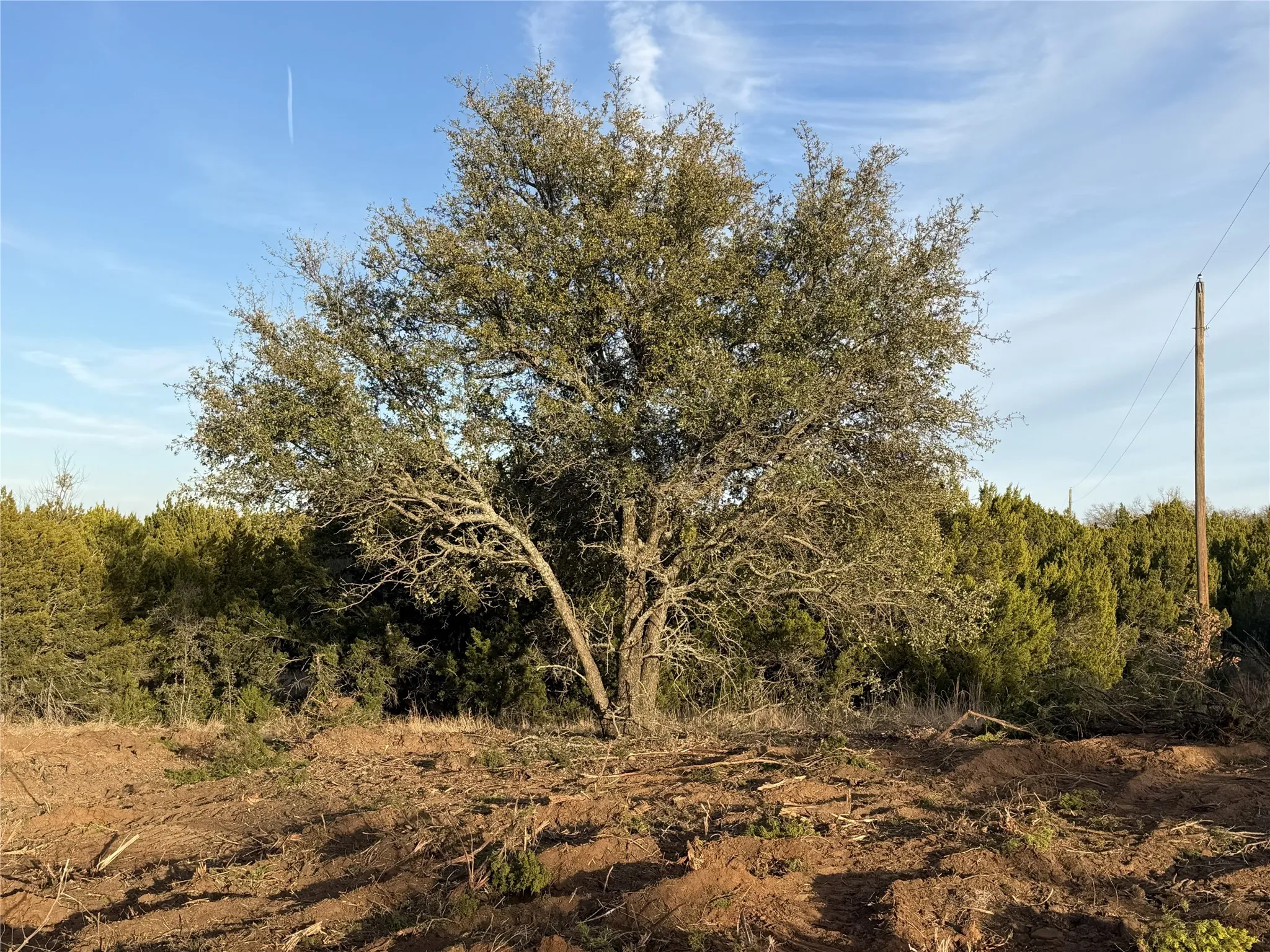 Unimproved Land For Sale in Taylor County , 1.99 Antler Ridge, Tuscola, Texas 79562, 0, 0, Garage spaces, 0 Sqft, built in 0, Price $95,000, mls#21173659, Real Estate Agent in Tuscola, Homes For Sale in Taylor county, Homes For Sale in Tuscola, Realtor in Tuscola Texas, Real Estate Brokerage Independent Realty Texas, Luminita Cordes Realtor