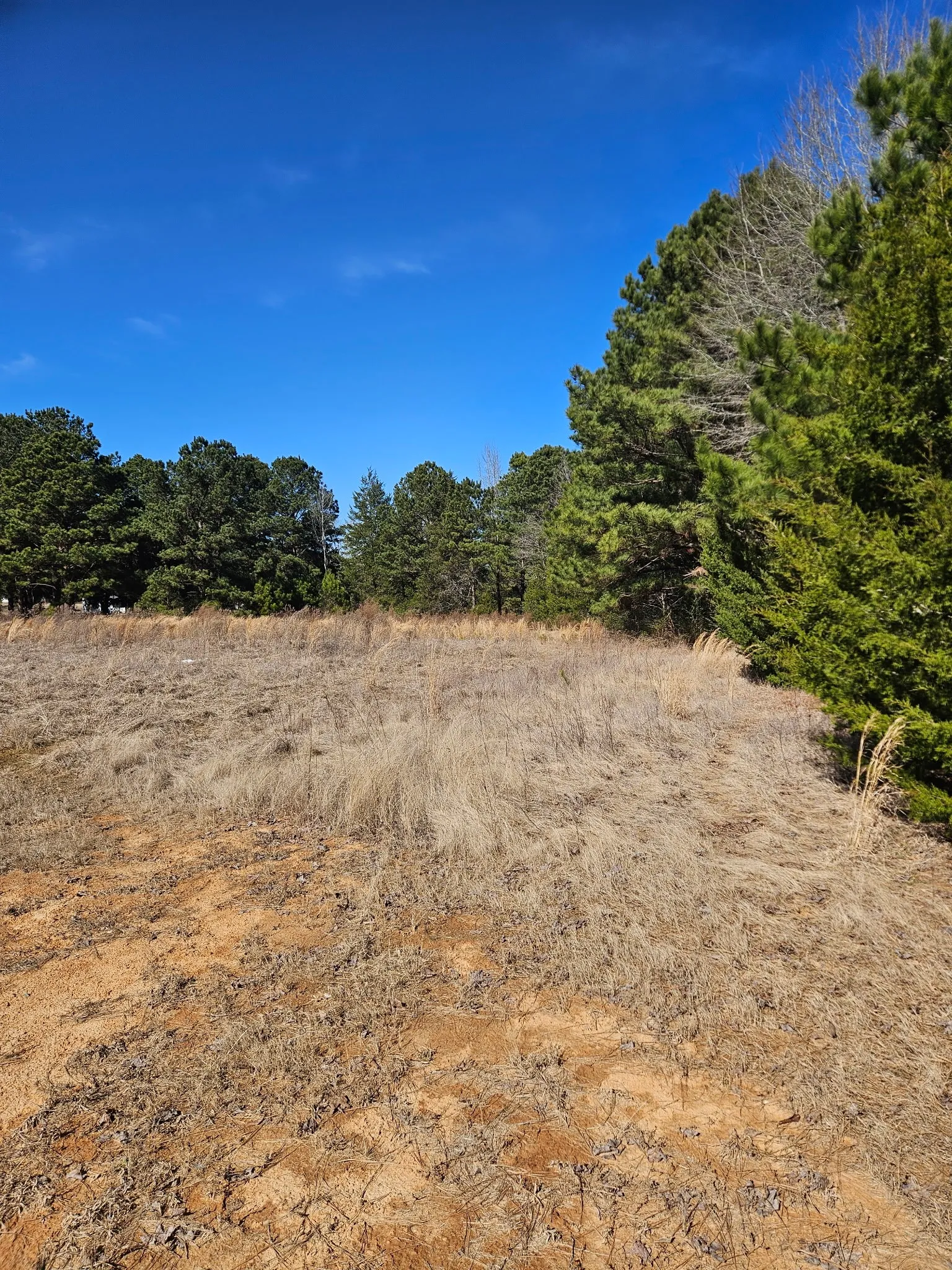 Improved Land For Sale in Upshur County , 6 Jacklyn Lane, Diana, Texas 75640, 0, 0, Garage spaces, 0 Sqft, built in 0, Price $60,000, mls#21172521, Real Estate Agent in Diana, Homes For Sale in Upshur county, Homes For Sale in Diana, Realtor in Diana Texas, Real Estate Brokerage Independent Realty Texas, Luminita Cordes Realtor