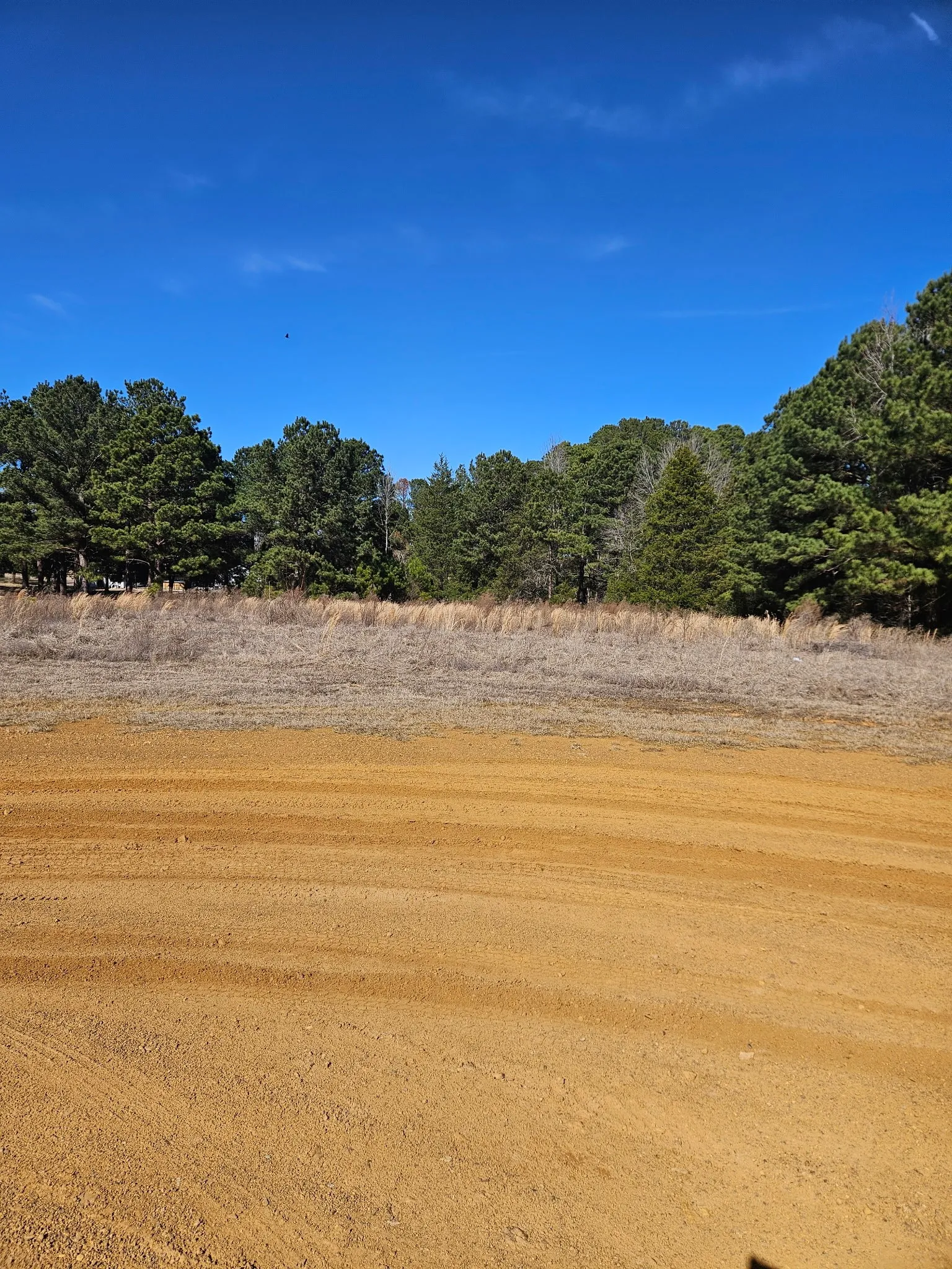Improved Land For Sale in Upshur County , 6 Jacklyn Lane, Diana, Texas 75640, 0, 0, Garage spaces, 0 Sqft, built in 0, Price $60,000, mls#21172521, Real Estate Agent in Diana, Homes For Sale in Upshur county, Homes For Sale in Diana, Realtor in Diana Texas, Real Estate Brokerage Independent Realty Texas, Luminita Cordes Realtor