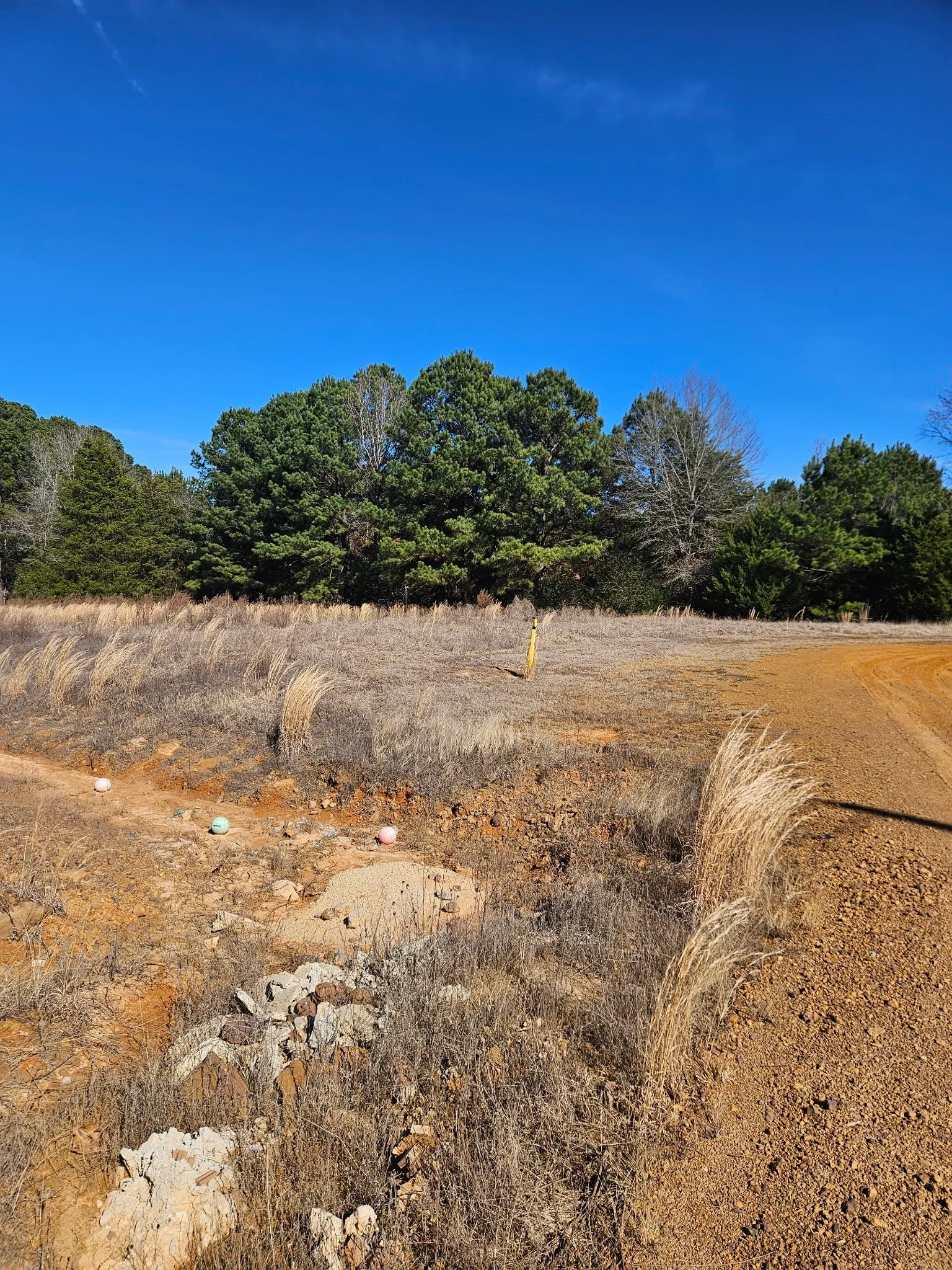 Improved Land For Sale in Upshur County , 6 Jacklyn Lane, Diana, Texas 75640, 0, 0, Garage spaces, 0 Sqft, built in 0, Price $60,000, mls#21172521, Real Estate Agent in Diana, Homes For Sale in Upshur county, Homes For Sale in Diana, Realtor in Diana Texas, Real Estate Brokerage Independent Realty Texas, Luminita Cordes Realtor