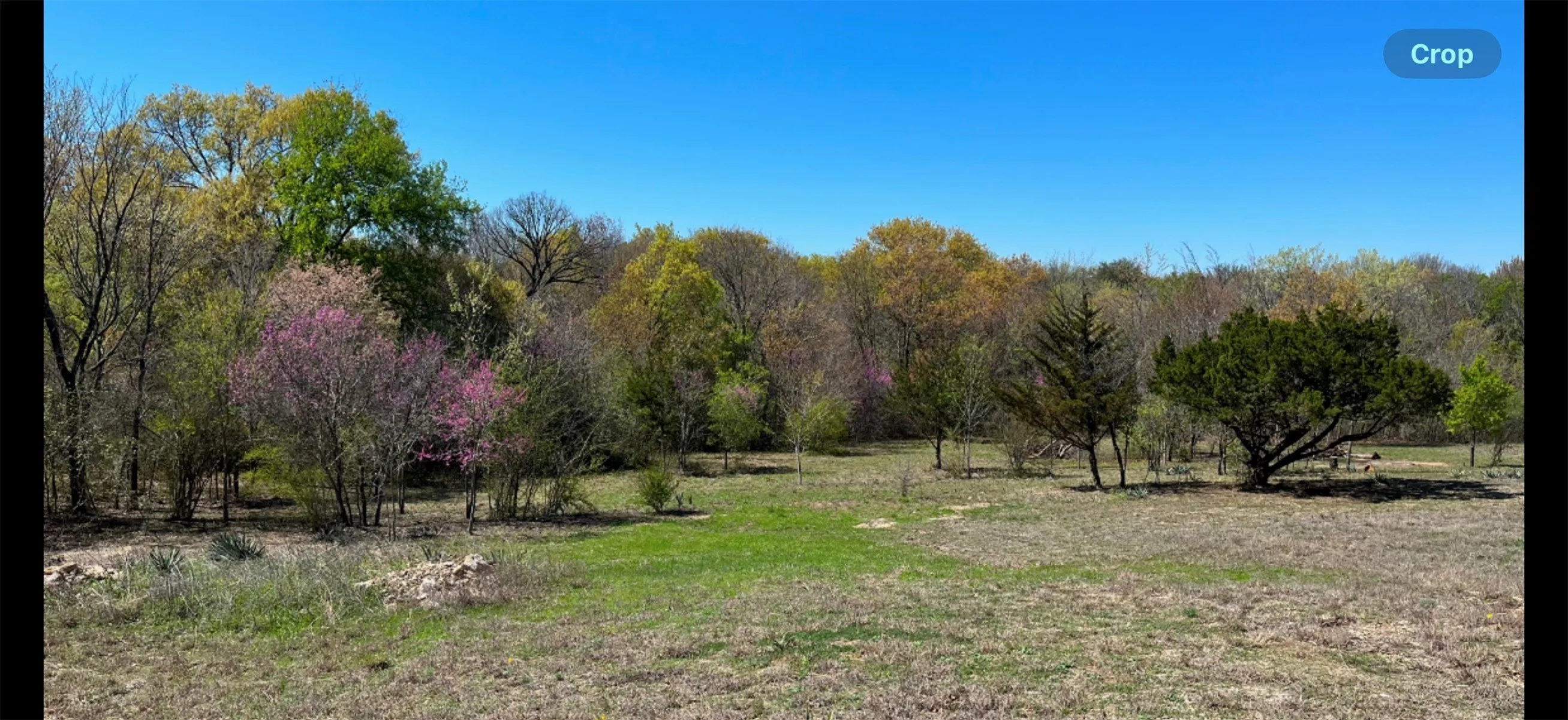 Unimproved Land For Sale in Parker County , 142 Mulligan Lane, Azle, Texas 76020, 0, 0, Garage spaces, 0 Sqft, built in 0, Price $165,000, mls#21172765, Real Estate Agent in Azle, Homes For Sale in Parker county, Homes For Sale in Azle, Realtor in Azle Texas, Real Estate Brokerage Independent Realty Texas, Luminita Cordes Realtor