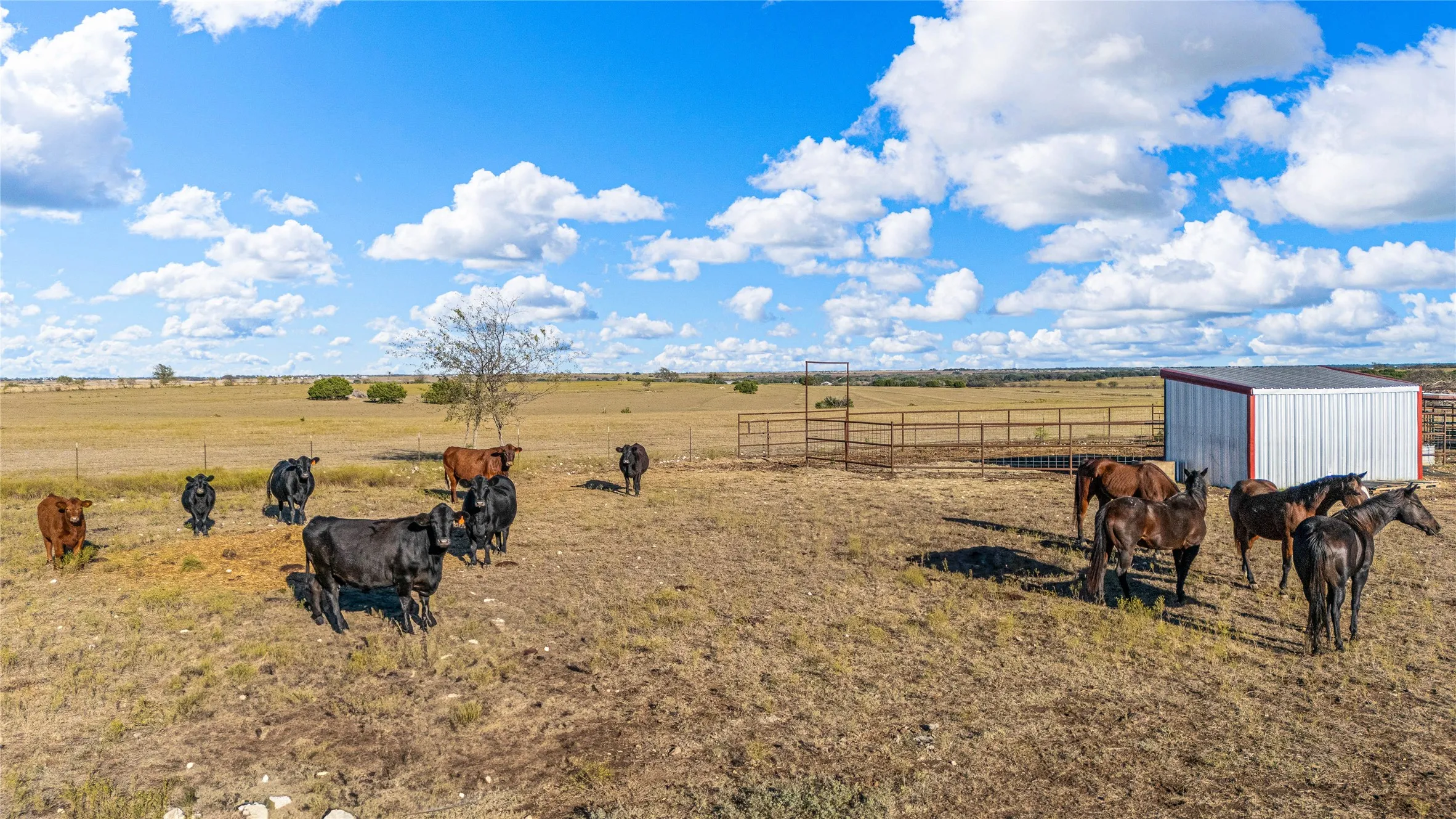 Farm For Sale in Bosque County , 318 CR 3355, Valley Mills, Texas 76689, 3 Bedrooms, 2 Bathrooms, 12 Garage spaces, 1,500 Sqft, built in 2016, Price $1,750,000, mls#21173635, Real Estate Agent in Valley Mills, Homes For Sale in Bosque county, Homes For Sale in Valley Mills, Realtor in Valley Mills Texas, Real Estate Brokerage Independent Realty Texas, Luminita Cordes Realtor