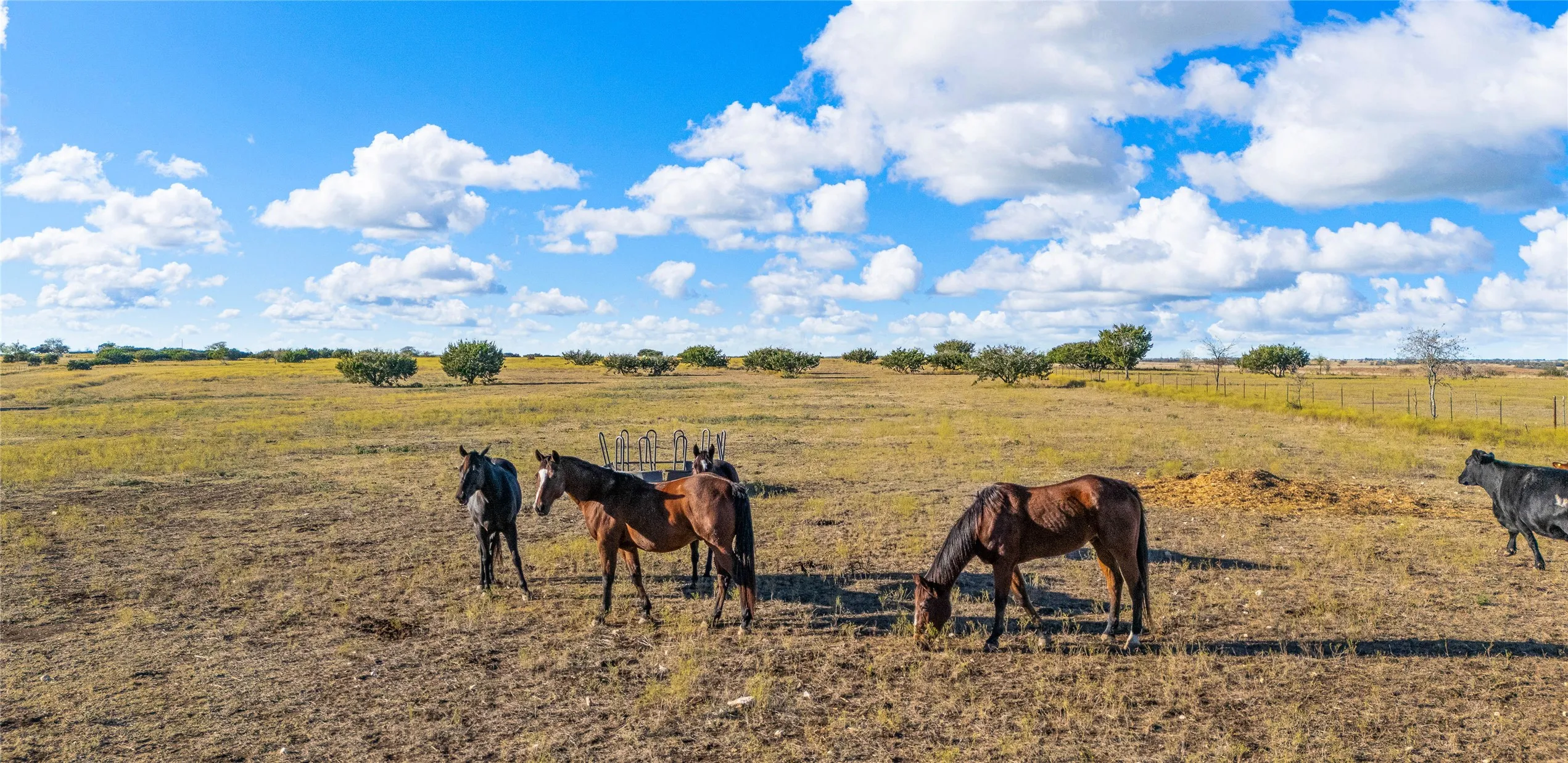 Farm For Sale in Bosque County , 318 CR 3355, Valley Mills, Texas 76689, 3 Bedrooms, 2 Bathrooms, 12 Garage spaces, 1,500 Sqft, built in 2016, Price $1,750,000, mls#21173635, Real Estate Agent in Valley Mills, Homes For Sale in Bosque county, Homes For Sale in Valley Mills, Realtor in Valley Mills Texas, Real Estate Brokerage Independent Realty Texas, Luminita Cordes Realtor