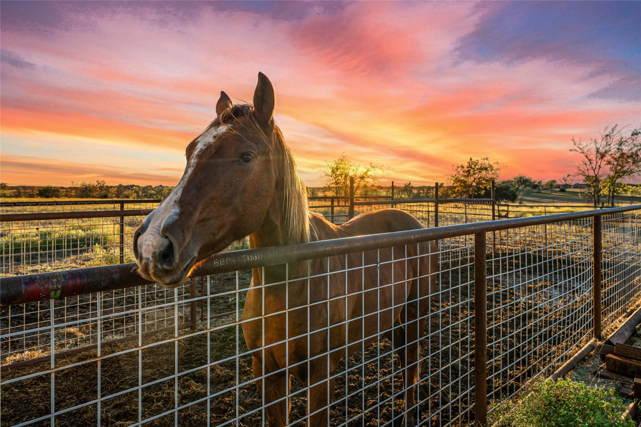 Farm For Sale in Bosque County , 318 CR 3355, Valley Mills, Texas 76689, 3 Bedrooms, 2 Bathrooms, 12 Garage spaces, 1,500 Sqft, built in 2016, Price $1,750,000, mls#21173635, Real Estate Agent in Valley Mills, Homes For Sale in Bosque county, Homes For Sale in Valley Mills, Realtor in Valley Mills Texas, Real Estate Brokerage Independent Realty Texas, Luminita Cordes Realtor