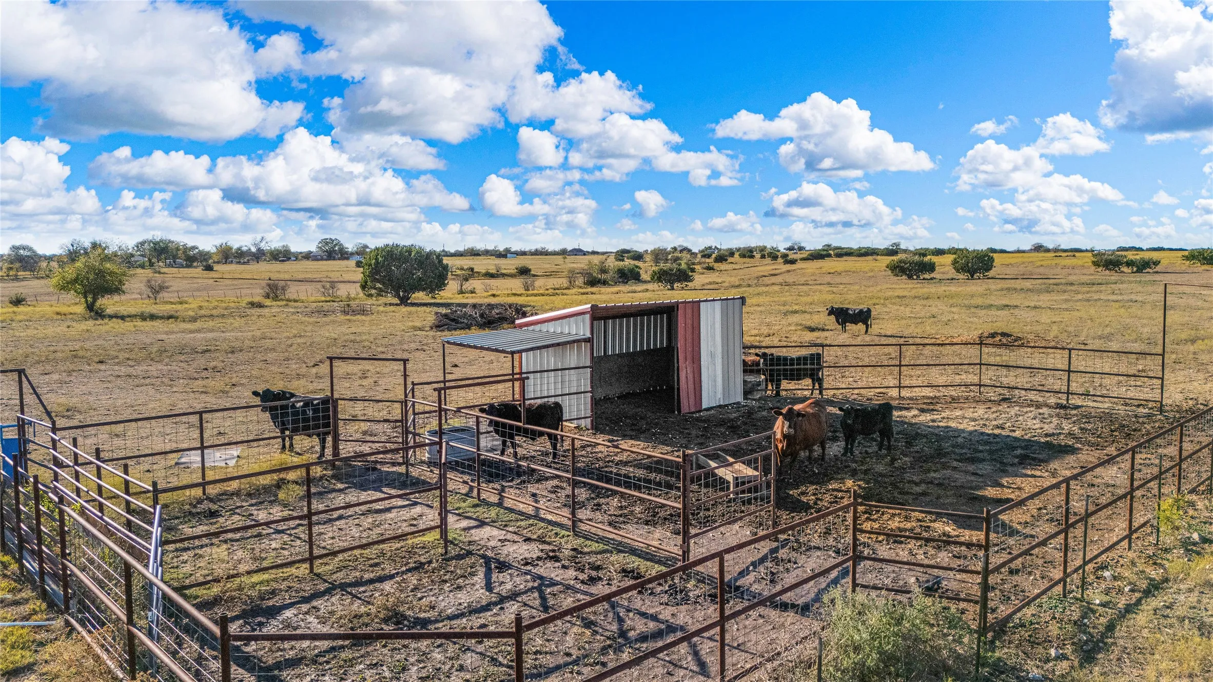 Farm For Sale in Bosque County , 318 CR 3355, Valley Mills, Texas 76689, 3 Bedrooms, 2 Bathrooms, 12 Garage spaces, 1,500 Sqft, built in 2016, Price $1,750,000, mls#21173635, Real Estate Agent in Valley Mills, Homes For Sale in Bosque county, Homes For Sale in Valley Mills, Realtor in Valley Mills Texas, Real Estate Brokerage Independent Realty Texas, Luminita Cordes Realtor