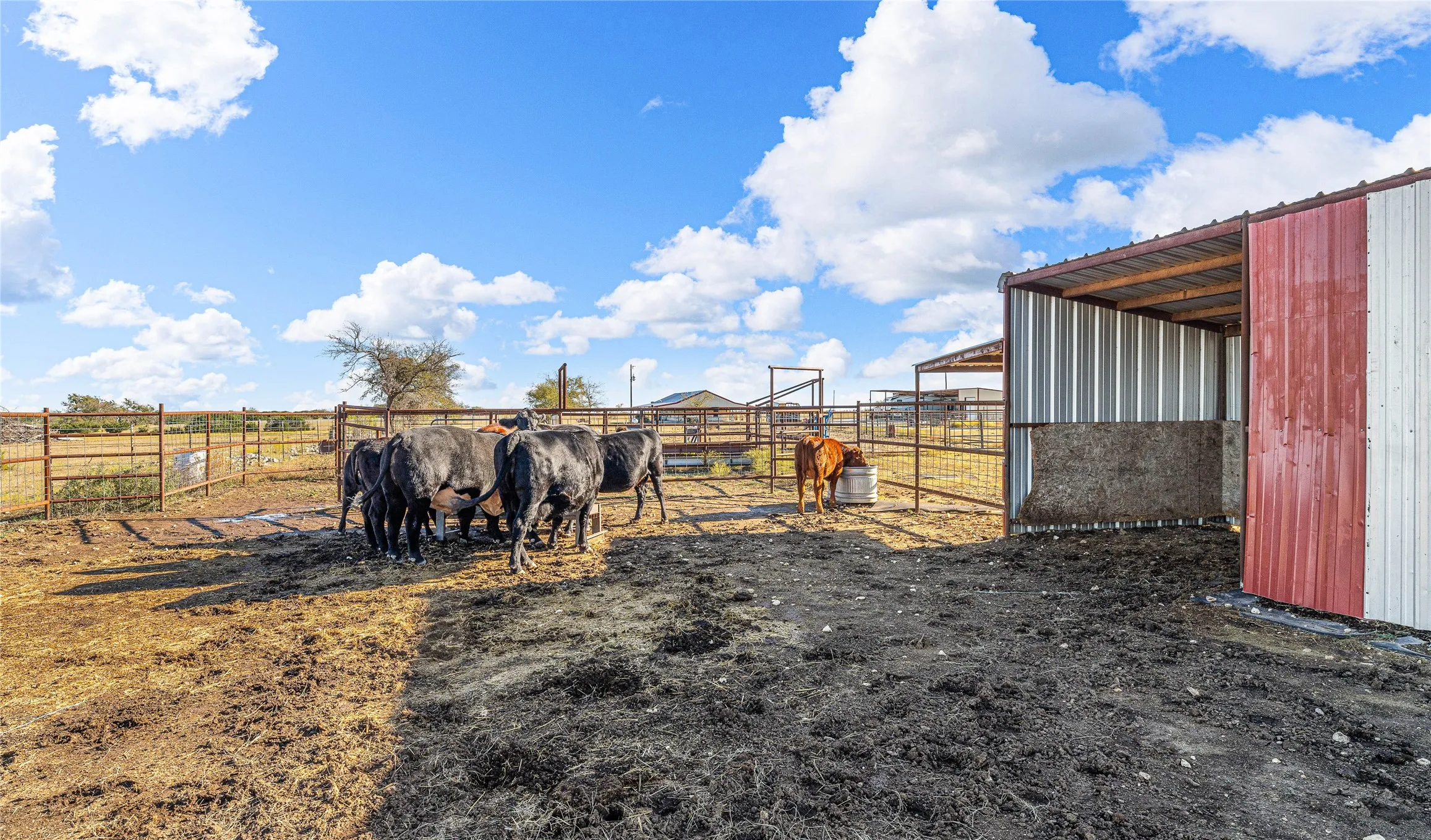 Farm For Sale in Bosque County , 318 CR 3355, Valley Mills, Texas 76689, 3 Bedrooms, 2 Bathrooms, 12 Garage spaces, 1,500 Sqft, built in 2016, Price $1,750,000, mls#21173635, Real Estate Agent in Valley Mills, Homes For Sale in Bosque county, Homes For Sale in Valley Mills, Realtor in Valley Mills Texas, Real Estate Brokerage Independent Realty Texas, Luminita Cordes Realtor