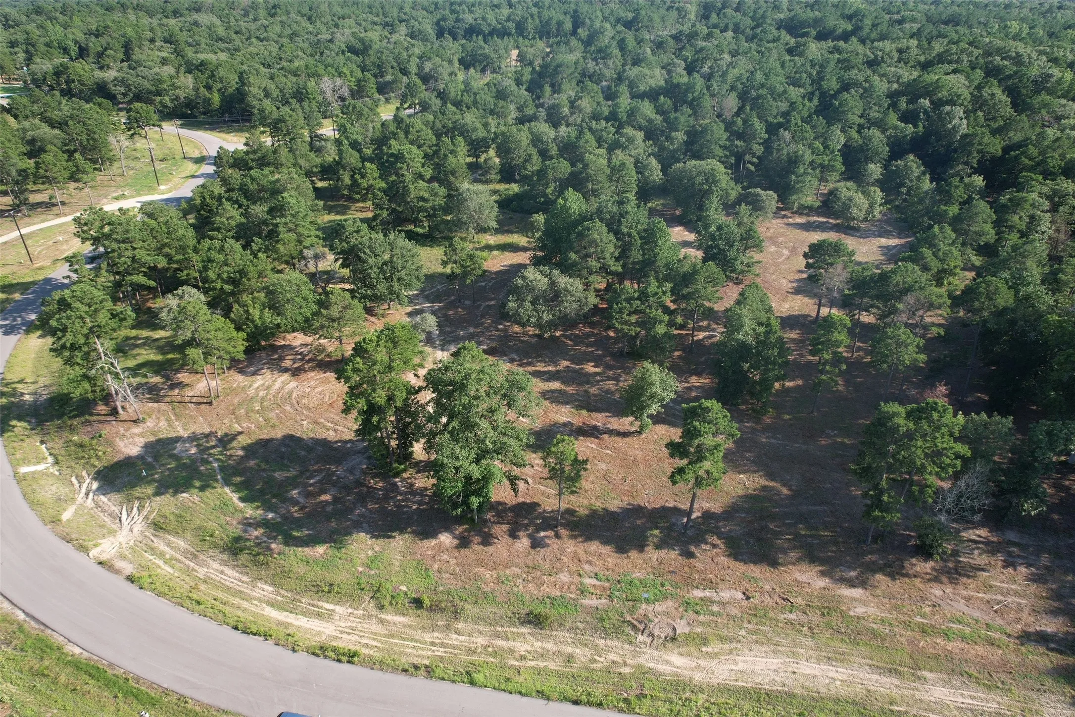 Unimproved Land For Sale in Henderson County , 3145 Shadow Pine Drive, Larue, Texas 75770, 0, 0, Garage spaces, 0 Sqft, built in 0, Price $210,999, mls#21150521, Real Estate Agent in Larue, Homes For Sale in Henderson county, Homes For Sale in Larue, Realtor in Larue Texas, Real Estate Brokerage Independent Realty Texas, Luminita Cordes Realtor