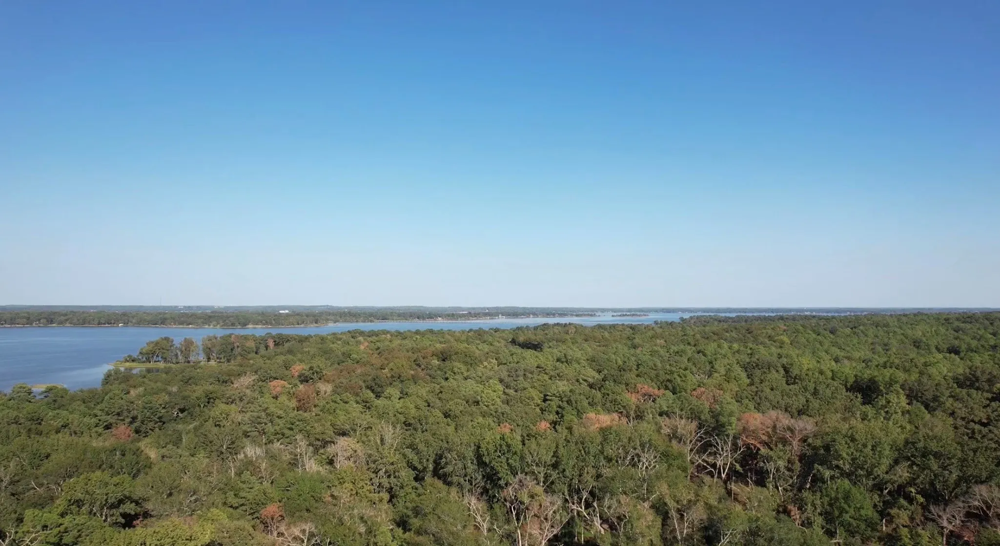 Lake view