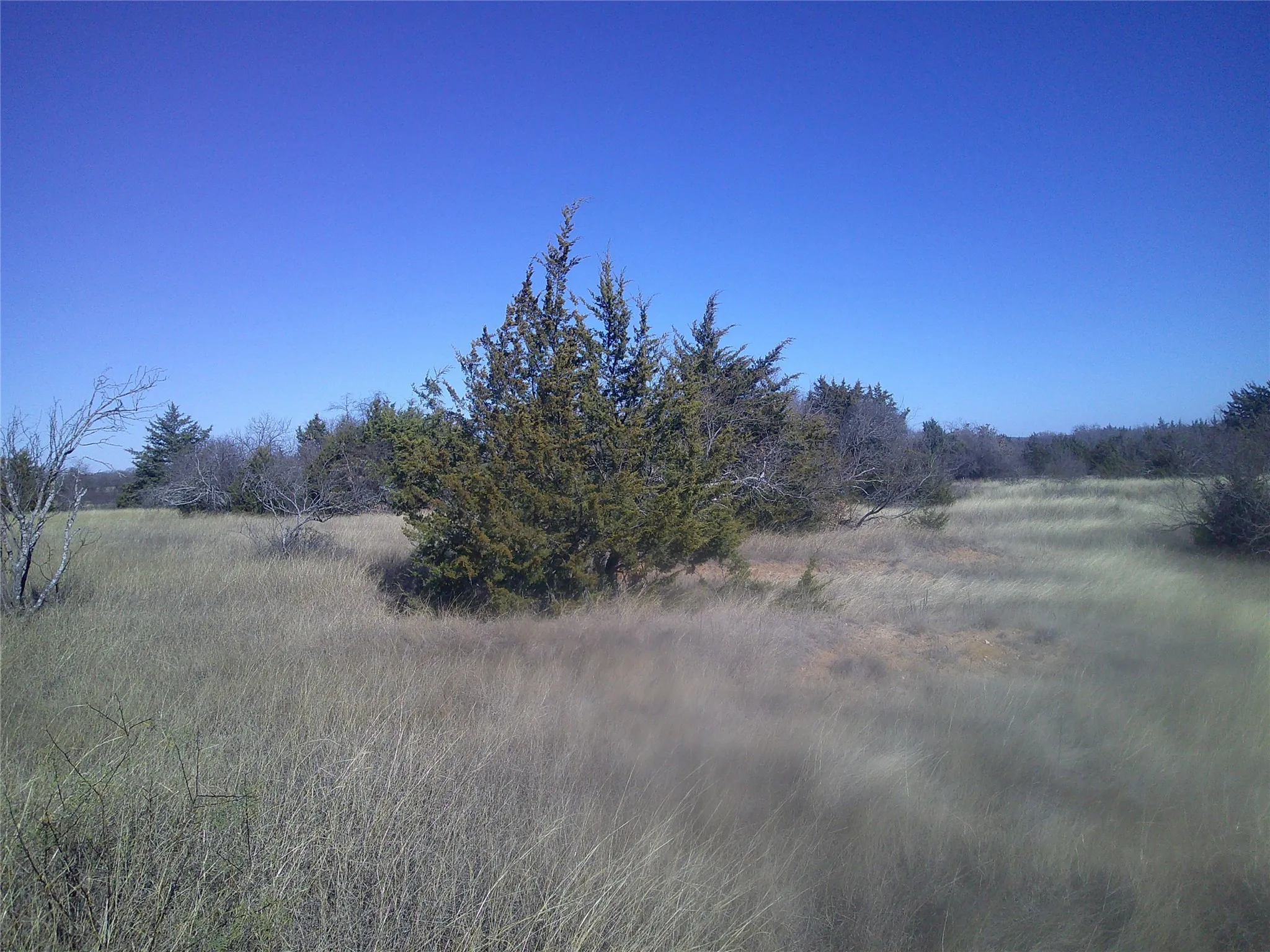 Unimproved Land For Sale in Wise County , Tr 9 CR 1750, Chico, Texas 76431, 0, 0, Garage spaces, 0 Sqft, built in 0, Price $220,335, mls#21174184, Real Estate Agent in Chico, Homes For Sale in Wise county, Homes For Sale in Chico, Realtor in Chico Texas, Real Estate Brokerage Independent Realty Texas, Luminita Cordes Realtor