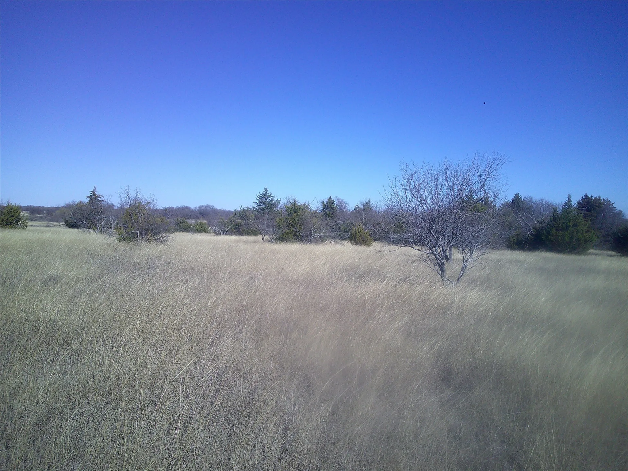 Unimproved Land For Sale in Wise County , Tr 9 CR 1750, Chico, Texas 76431, 0, 0, Garage spaces, 0 Sqft, built in 0, Price $220,335, mls#21174184, Real Estate Agent in Chico, Homes For Sale in Wise county, Homes For Sale in Chico, Realtor in Chico Texas, Real Estate Brokerage Independent Realty Texas, Luminita Cordes Realtor