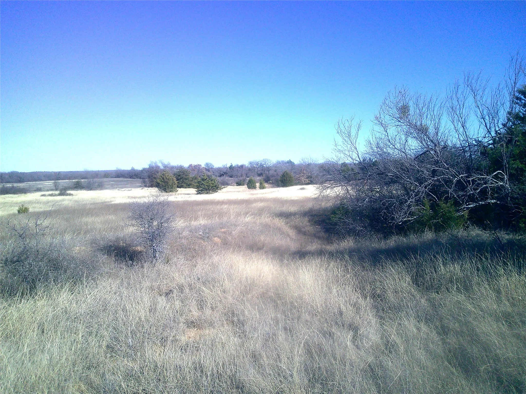Unimproved Land For Sale in Wise County , Tr 9 CR 1750, Chico, Texas 76431, 0, 0, Garage spaces, 0 Sqft, built in 0, Price $220,335, mls#21174184, Real Estate Agent in Chico, Homes For Sale in Wise county, Homes For Sale in Chico, Realtor in Chico Texas, Real Estate Brokerage Independent Realty Texas, Luminita Cordes Realtor
