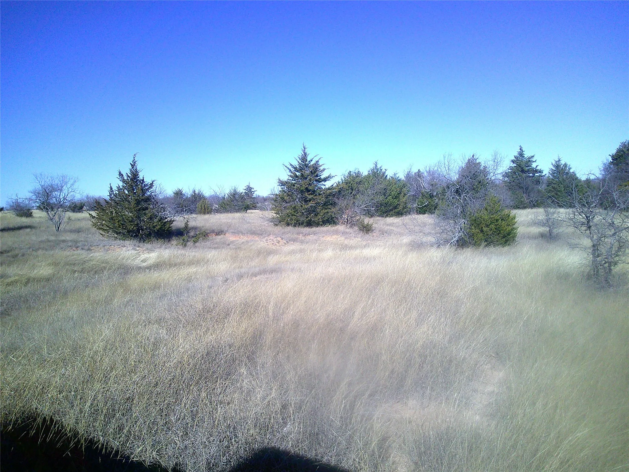 Unimproved Land For Sale in Wise County , Tr 9 CR 1750, Chico, Texas 76431, 0, 0, Garage spaces, 0 Sqft, built in 0, Price $220,335, mls#21174184, Real Estate Agent in Chico, Homes For Sale in Wise county, Homes For Sale in Chico, Realtor in Chico Texas, Real Estate Brokerage Independent Realty Texas, Luminita Cordes Realtor